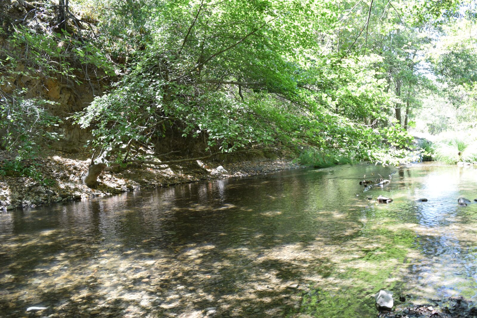 Nikon D3300 sample photo. Calm, peace, creek photography