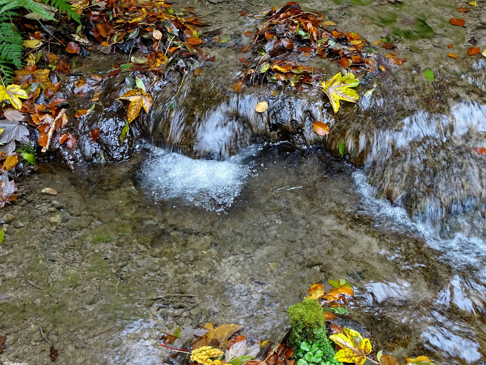 Sony Cyber-shot DSC-HX400V sample photo. Water, bach, autumn photography