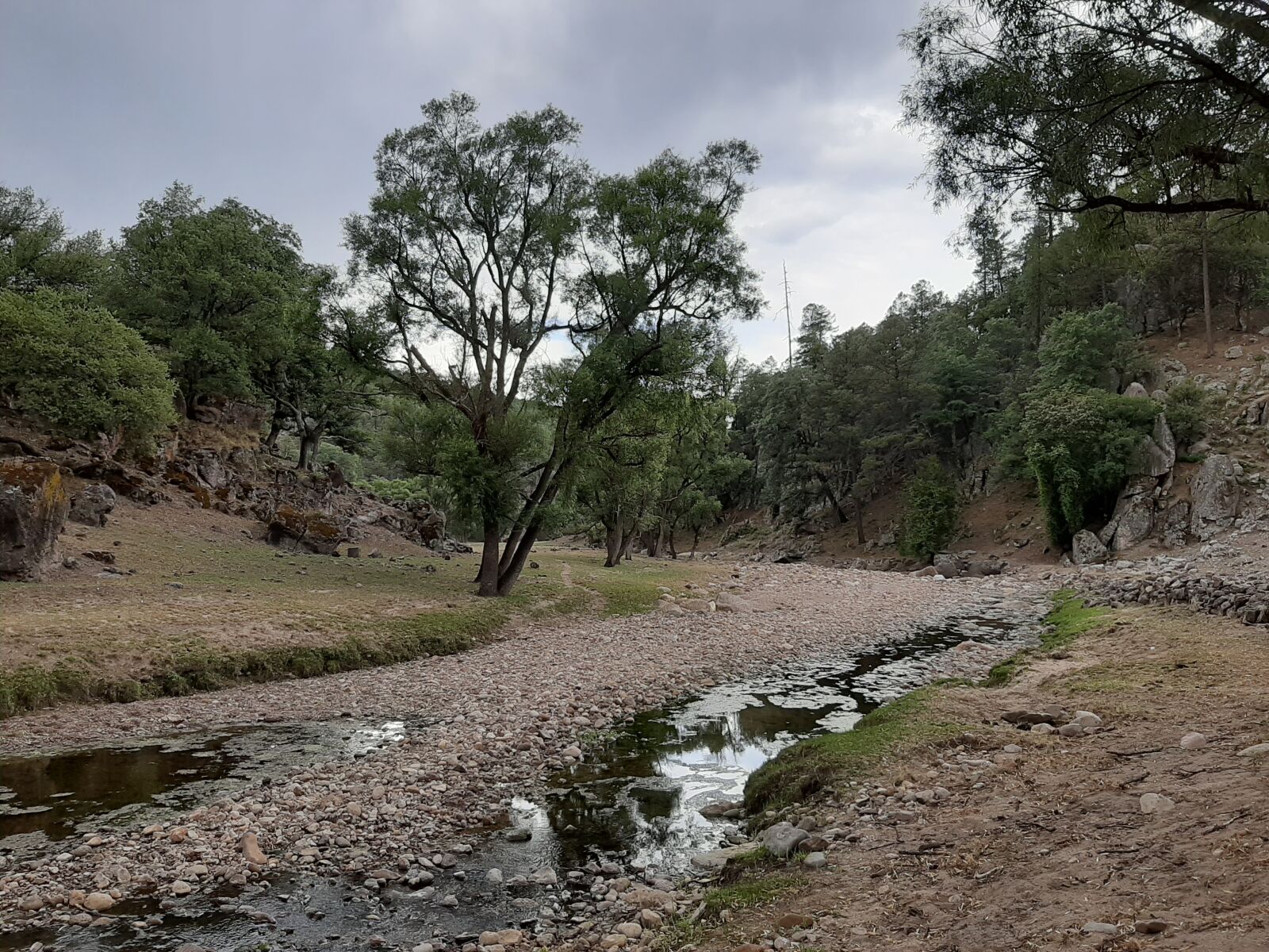 Samsung Galaxy A50 sample photo. Brook, landscape, water photography