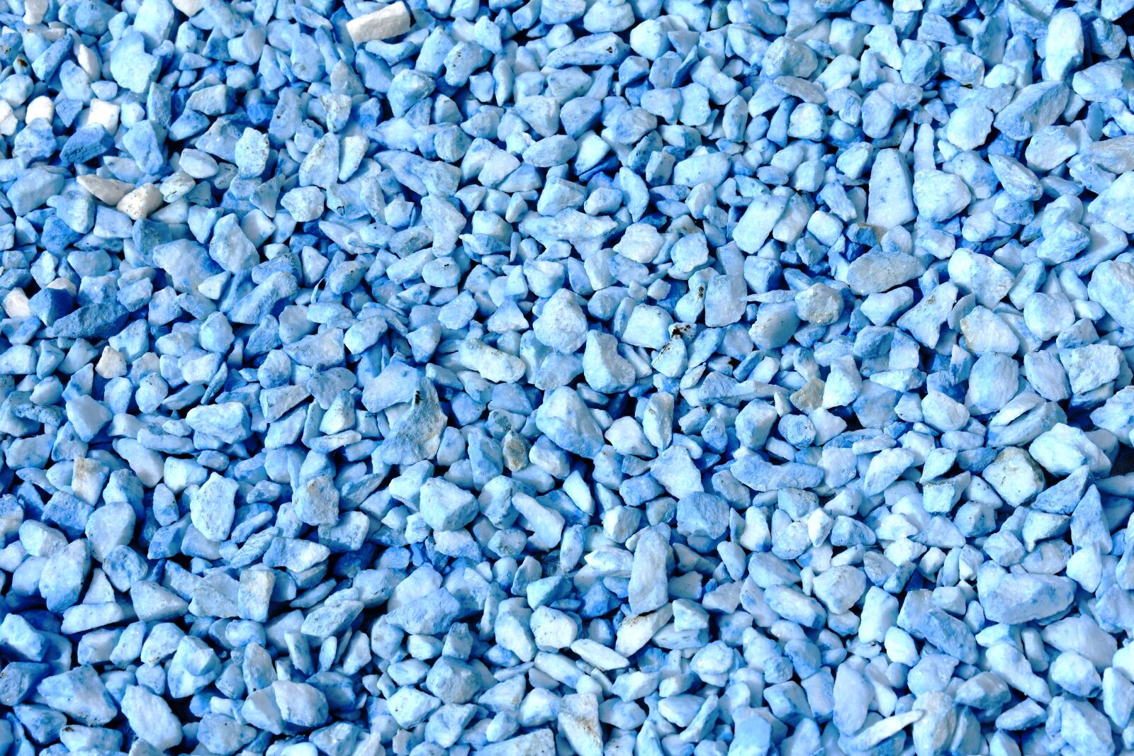 Nikon D3400 sample photo. Background, seashells, beach photography