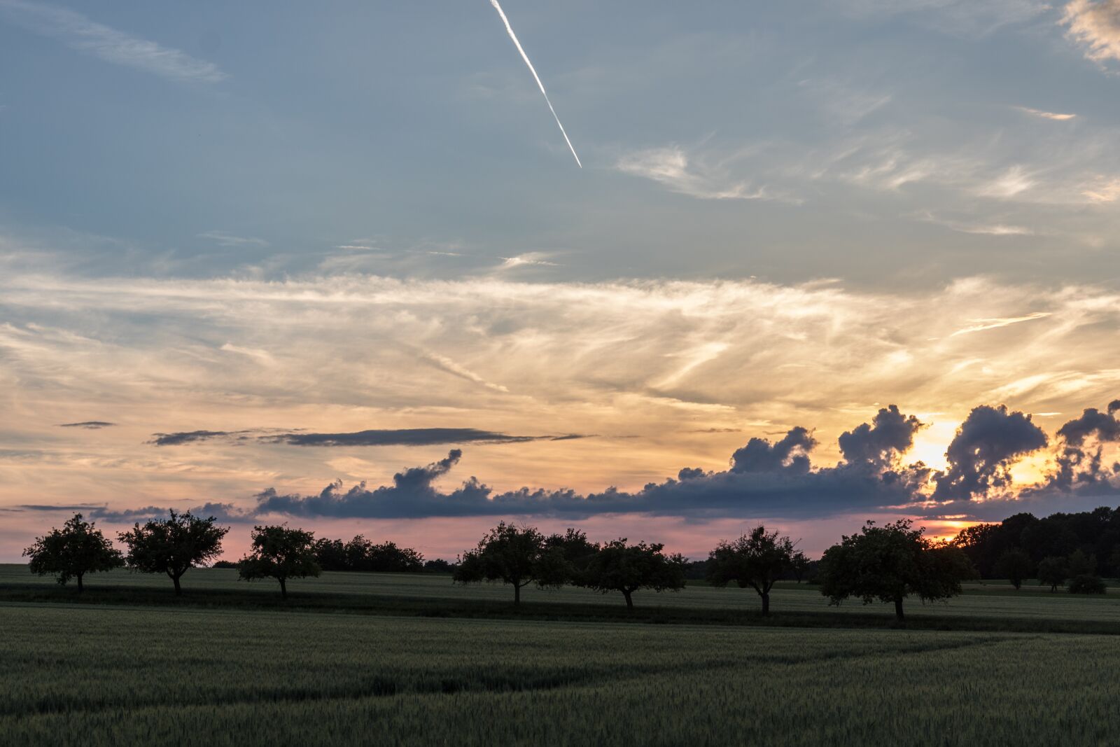 Canon EOS 7D Mark II sample photo. Landscape, summer, nature photography