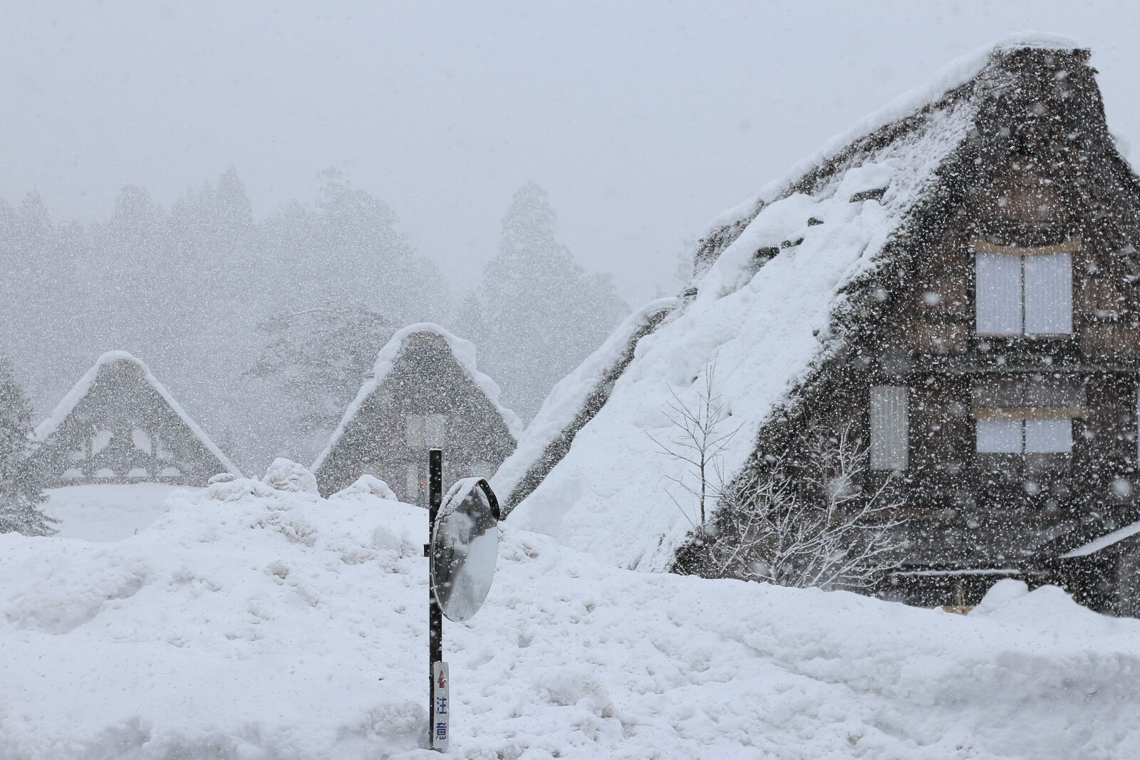 Canon EOS M + Canon EF 50mm F1.8 II sample photo. Snow, shirakawago, storm photography