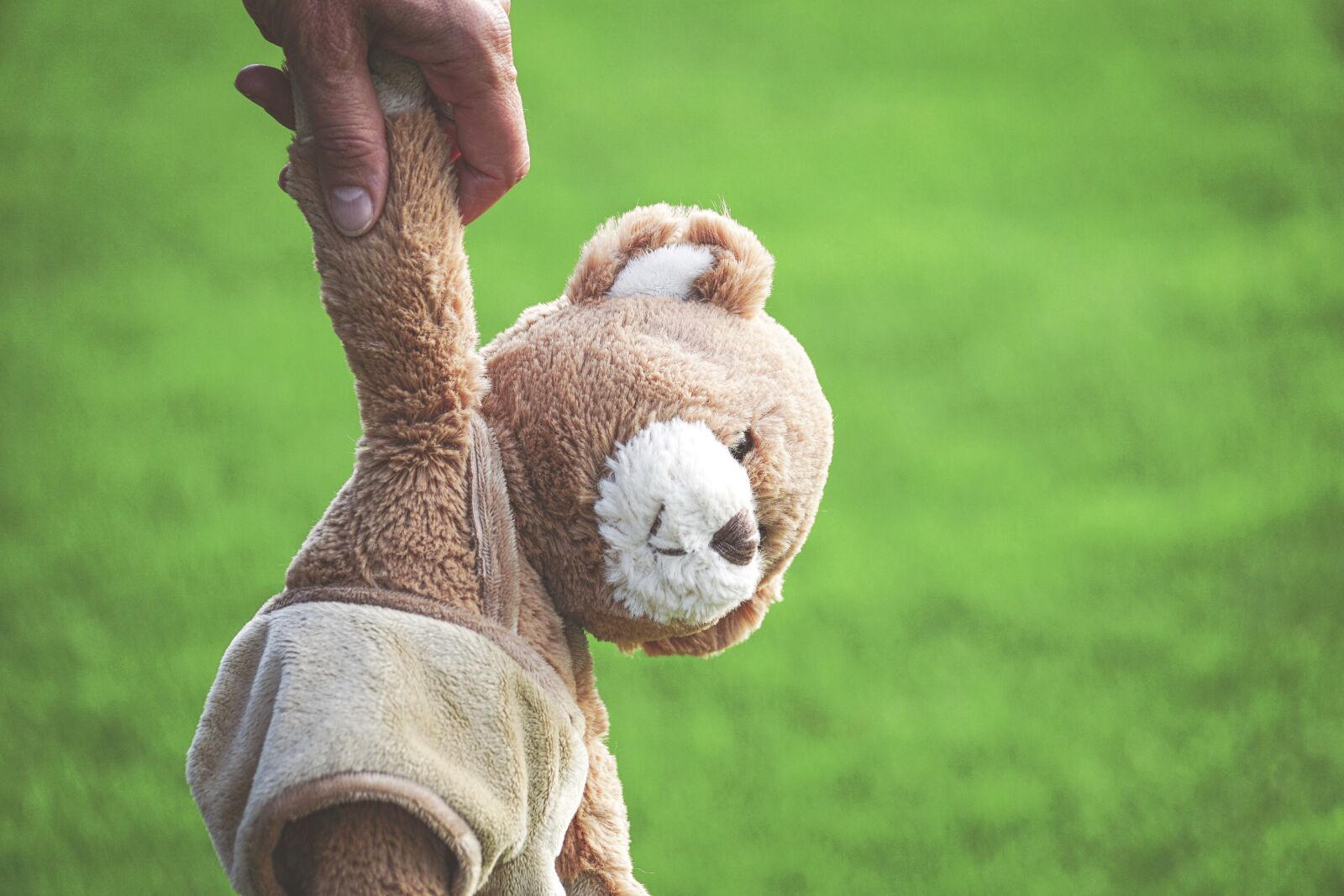 Sony DT 55-300mm F4.5-5.6 SAM sample photo. Teddy bear, teddy, cute photography