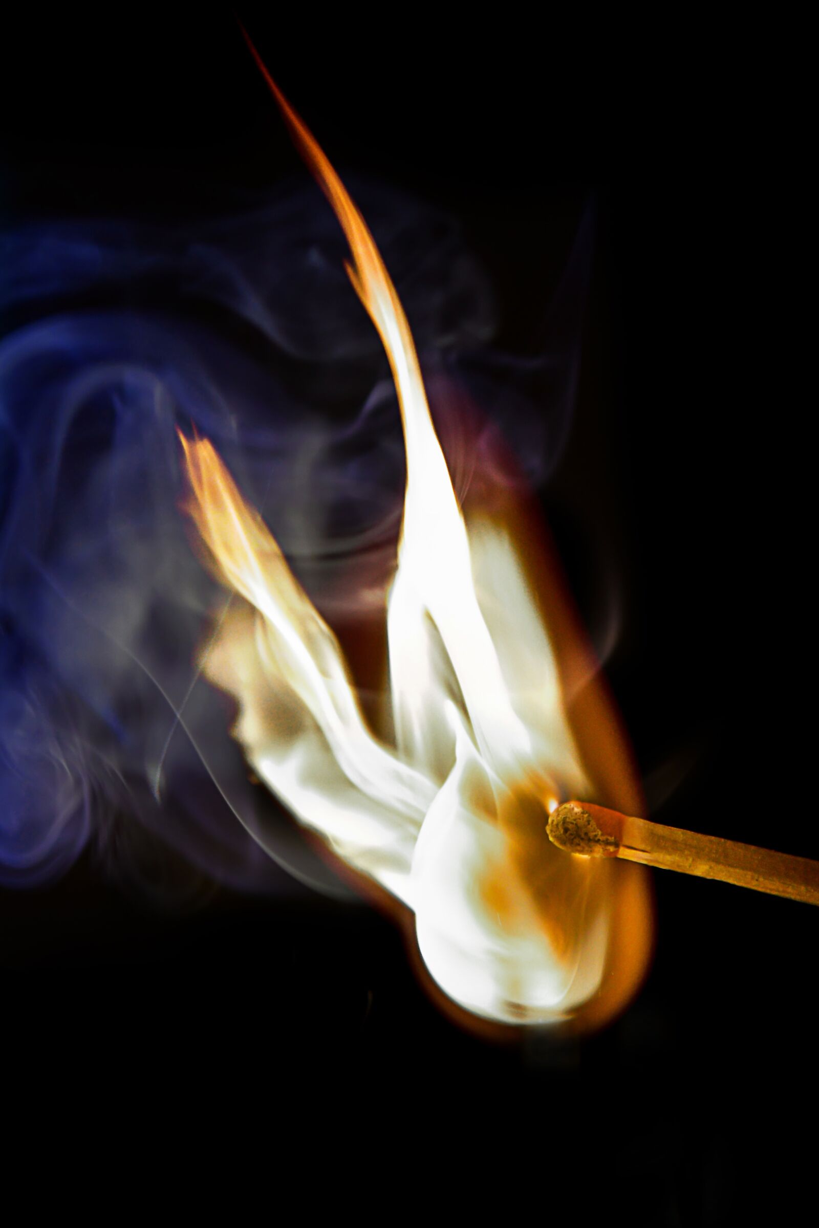 Nikon D500 sample photo. Match, ignition, flame photography