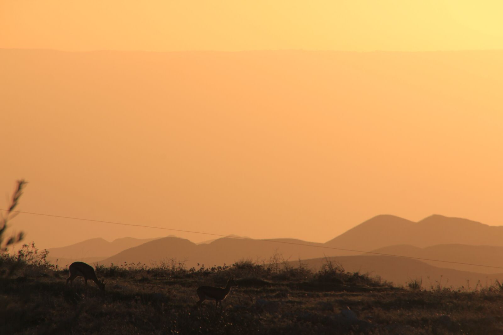 Canon EOS 550D (EOS Rebel T2i / EOS Kiss X4) sample photo. Sunset, sky, landscape photography
