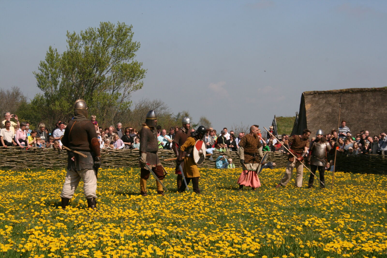Sigma 18-200mm f/3.5-6.3 DC OS sample photo. Vikings photography