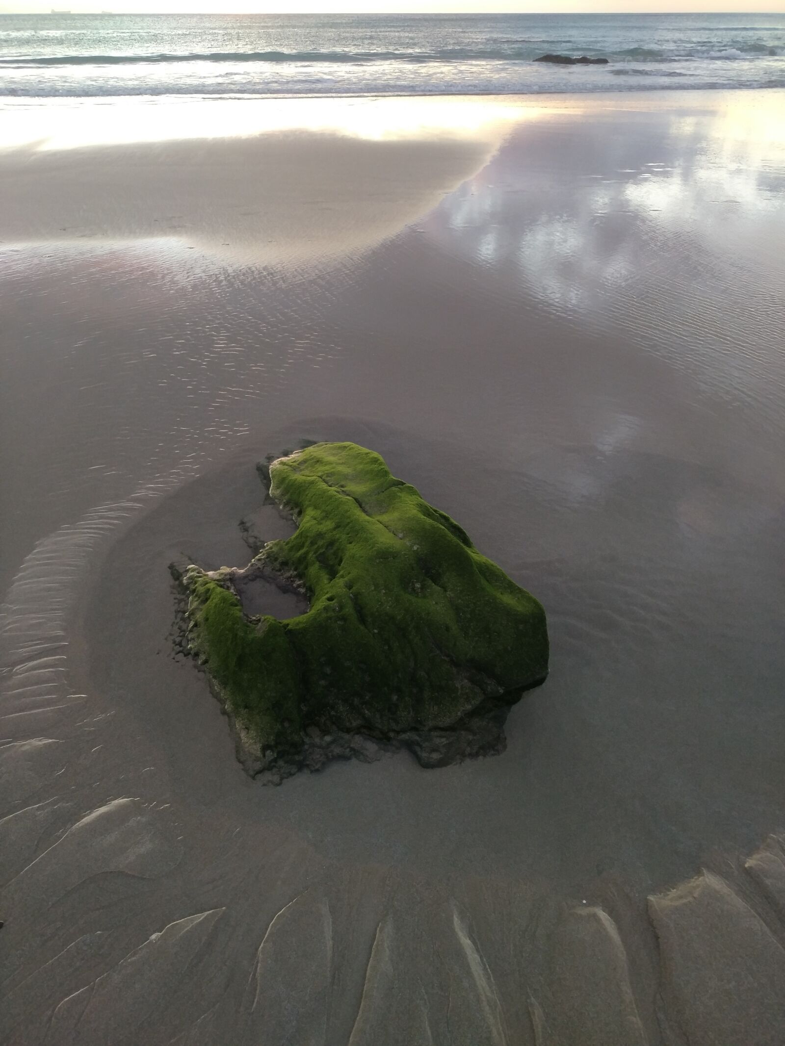 Xiaomi MI 5s Plus sample photo. Moss, sand, beach photography