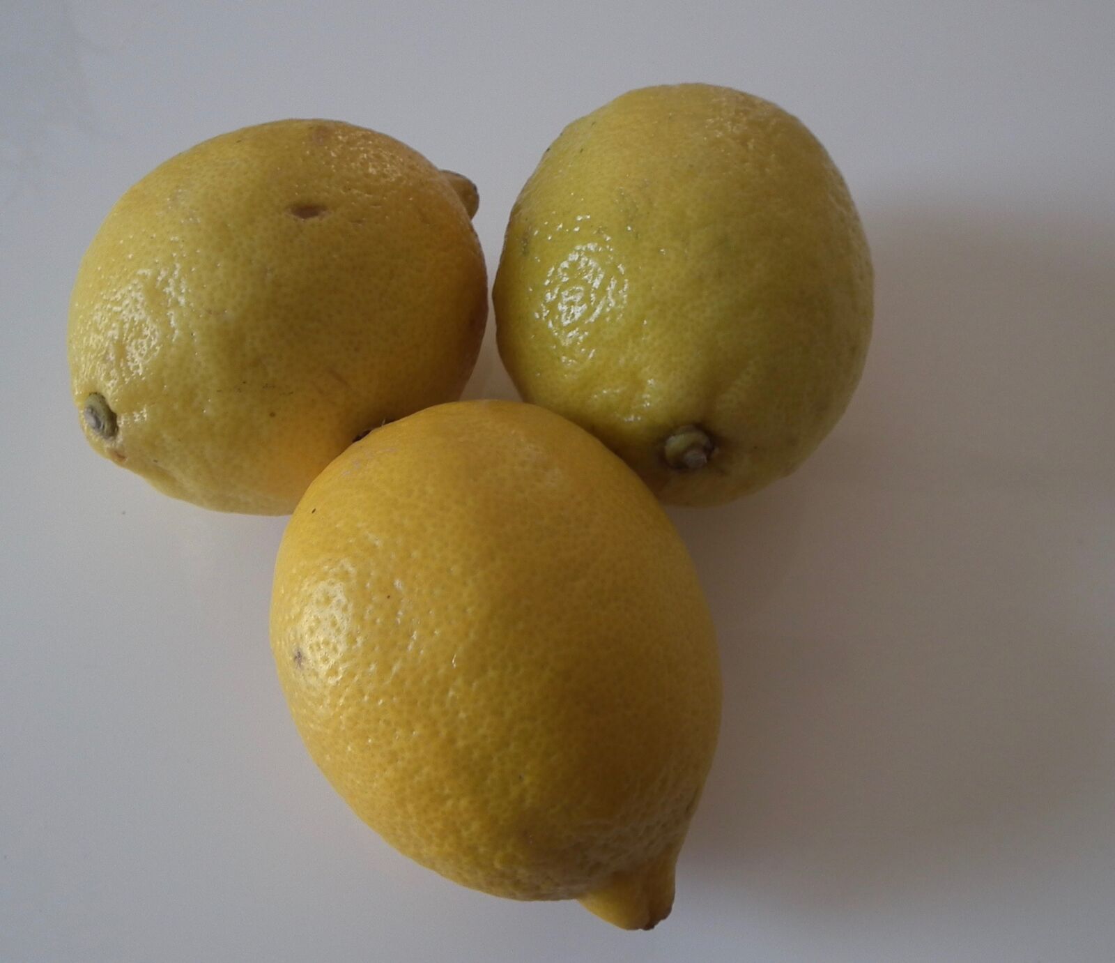 FujiFilm FinePix HS10 (FinePix HS11) sample photo