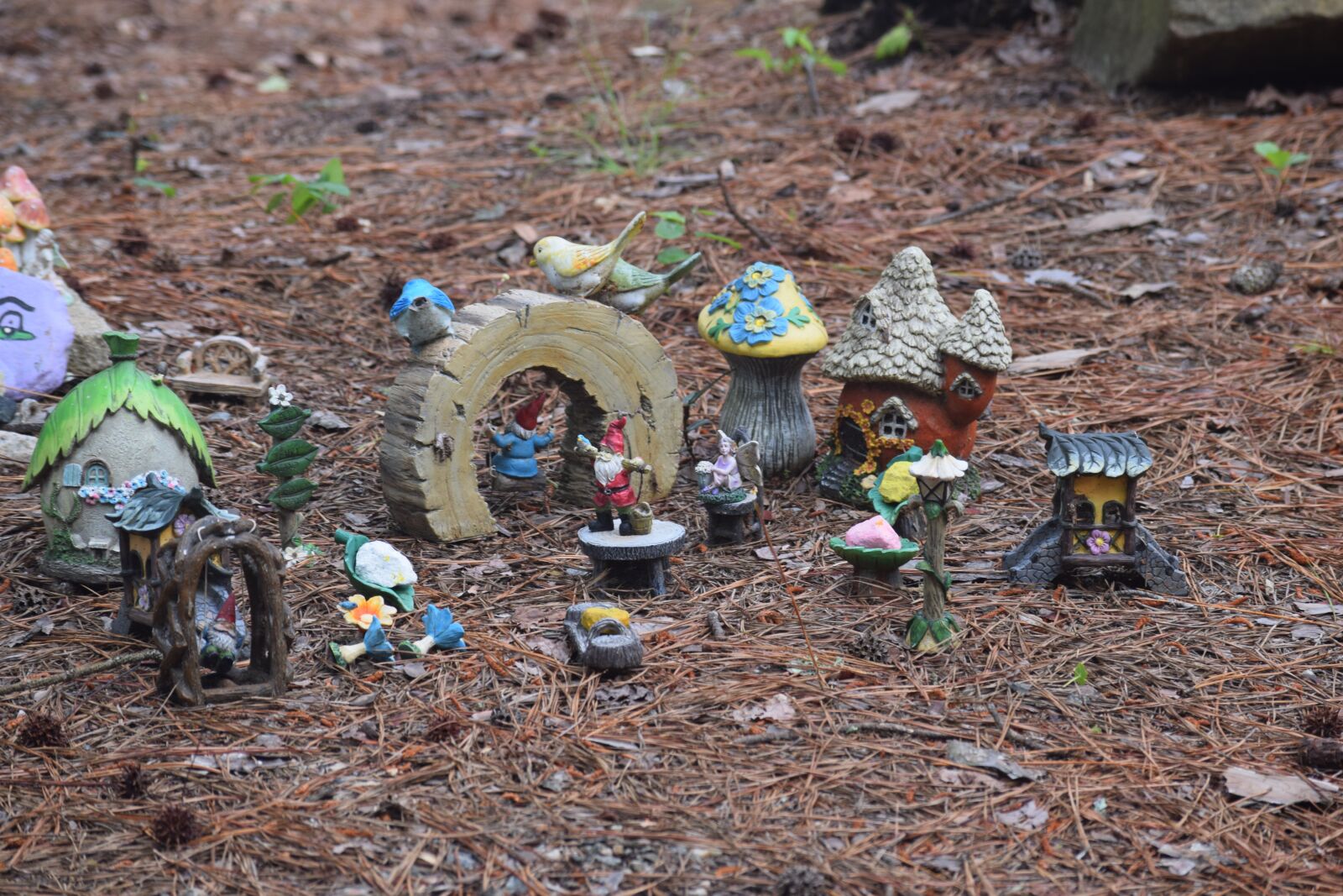 Nikon D3300 sample photo. Gnomes, woods, small photography