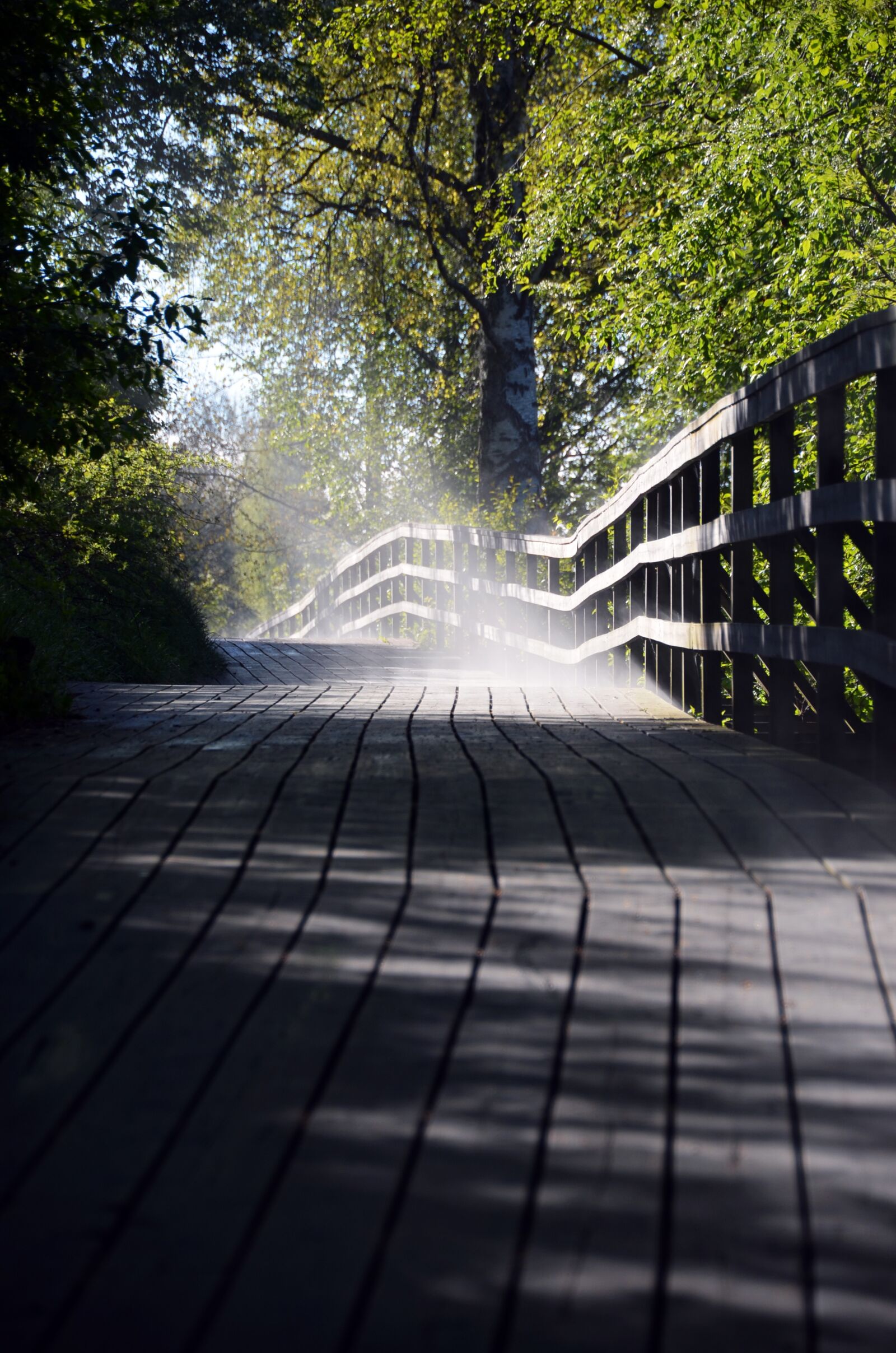 Nikon D5100 sample photo. Skellefteå, mist, morning photography
