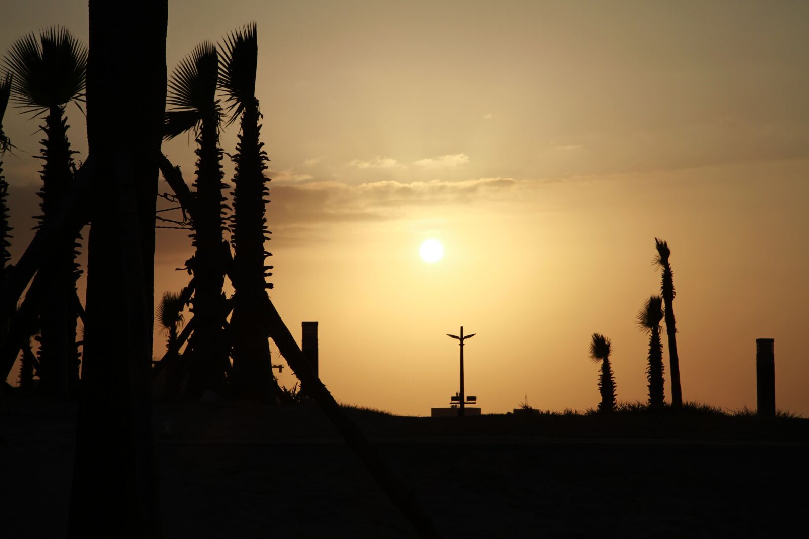 Canon EOS 7D sample photo. Silhouette, sunset, backlit photography
