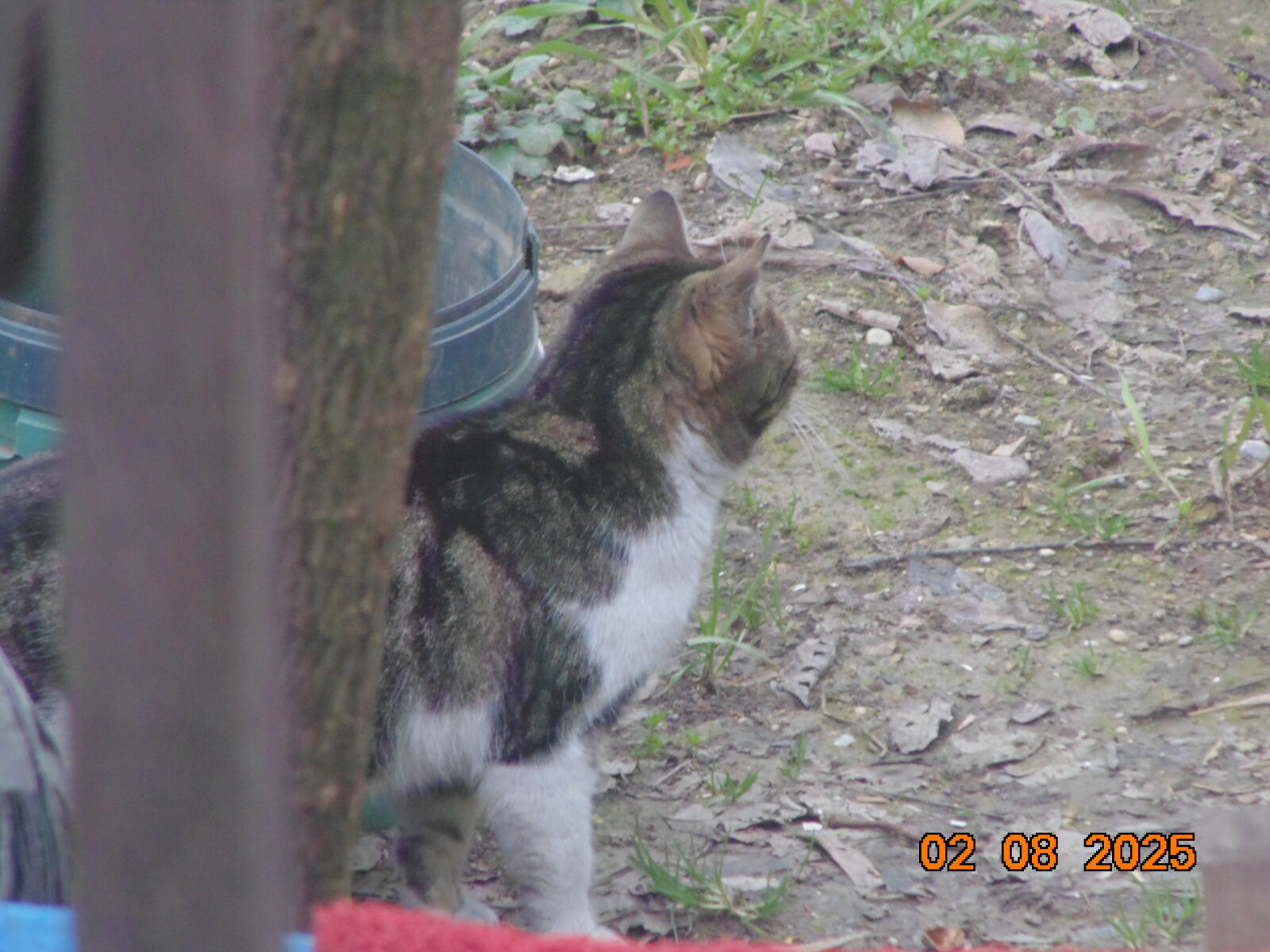 Sony DSC-H100 sample photo