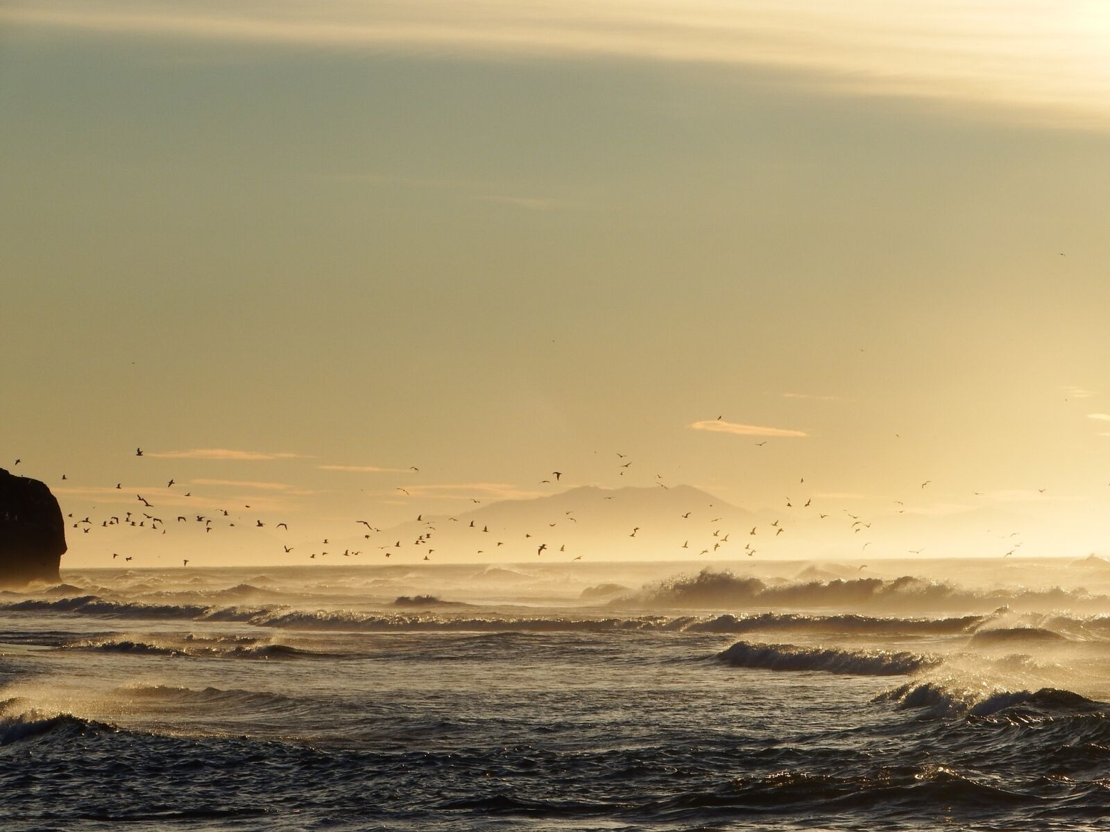 Fujifilm FinePix S1 sample photo. The pacific ocean, wave photography