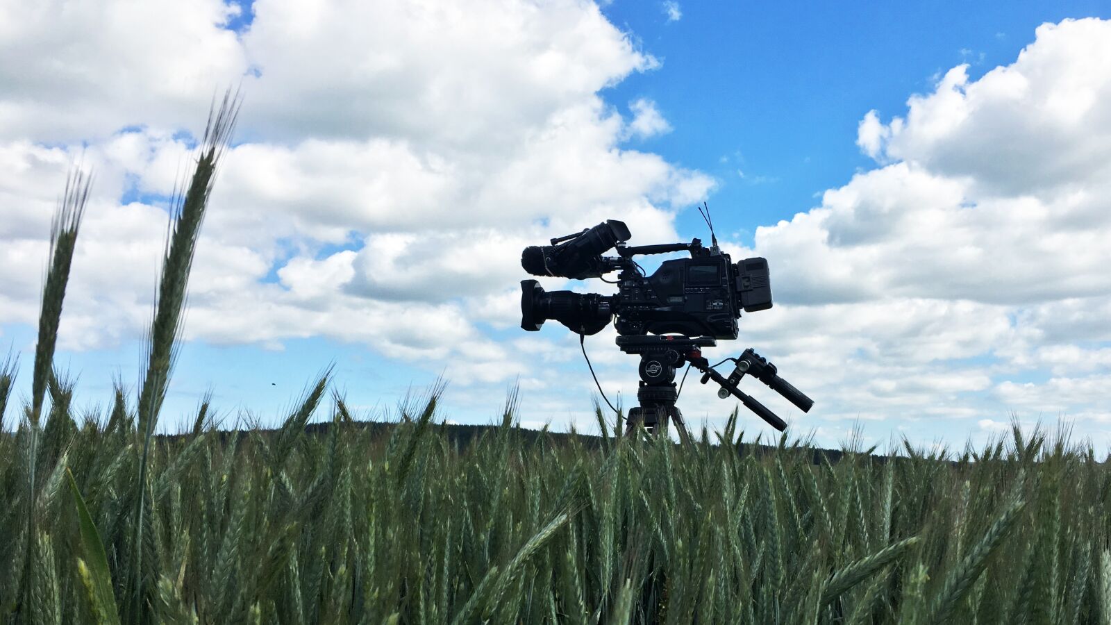 Apple iPhone 6s sample photo. Sky, grass, field photography