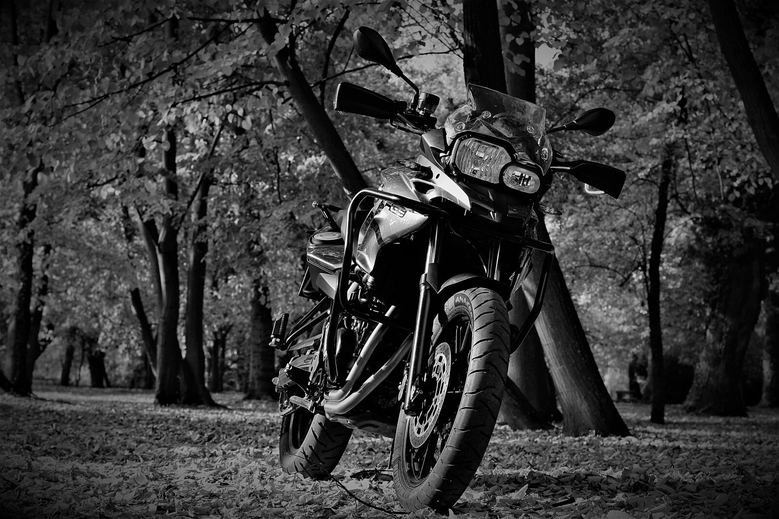 Nikon 1 J5 sample photo. Engine, bmw, f700gs photography