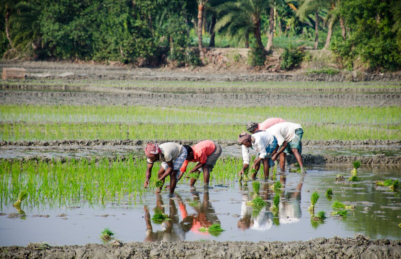 Nikon D7000 sample photo. Labour day, work, working photography