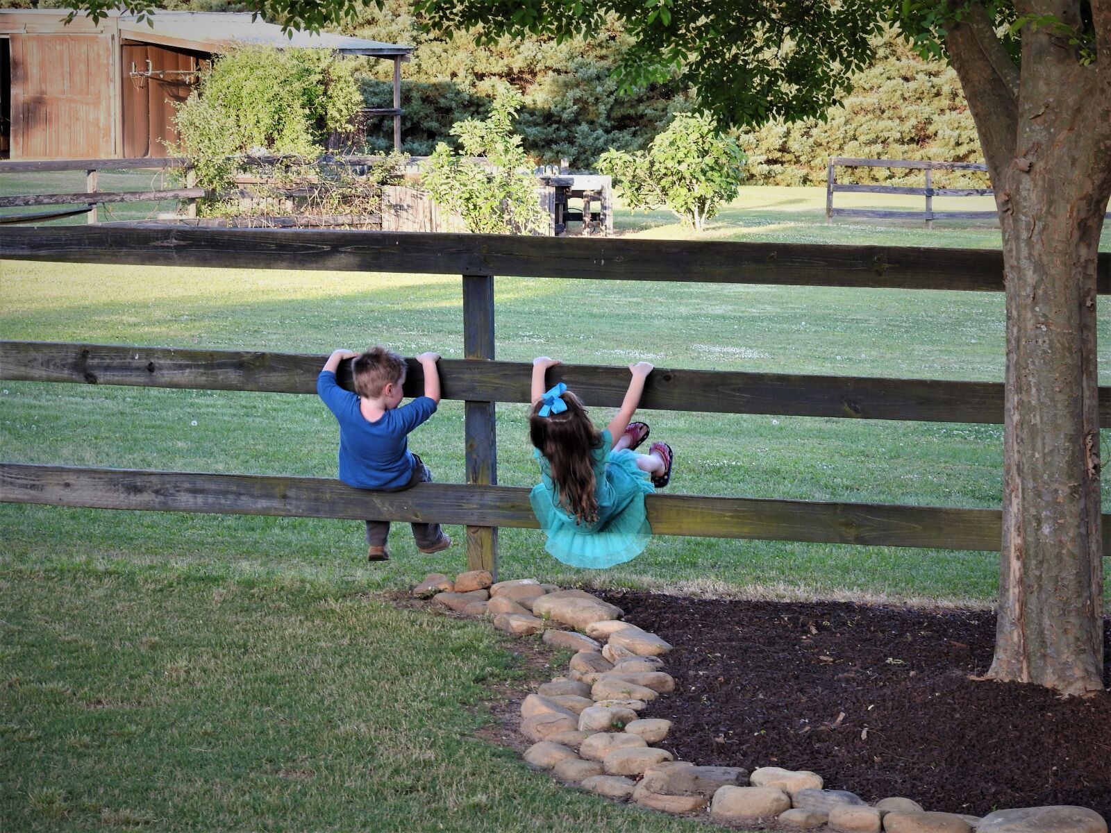 Nikon Coolpix P900 sample photo. Kids, fence, young love photography
