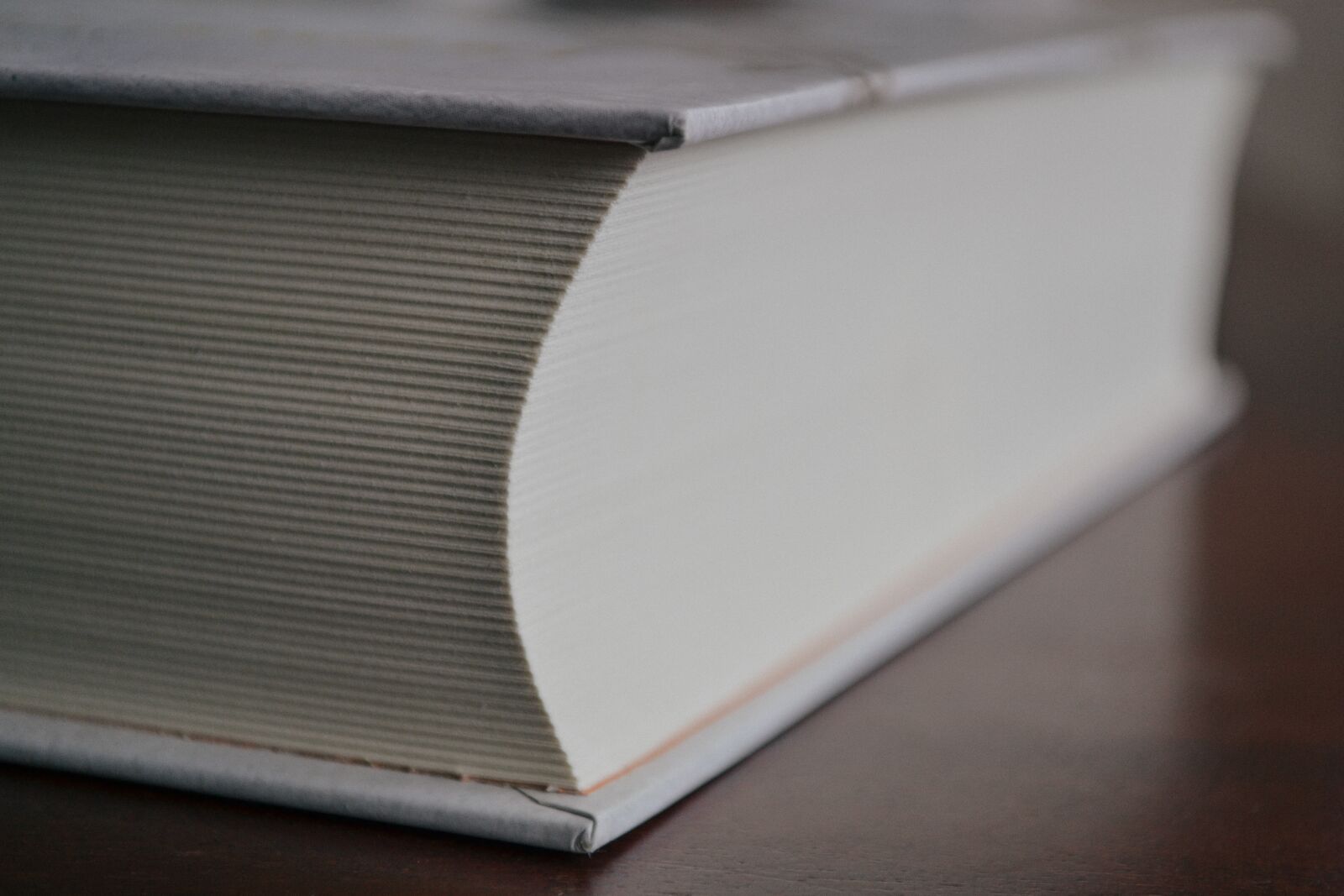Nikon D3100 sample photo. Big, book, business photography
