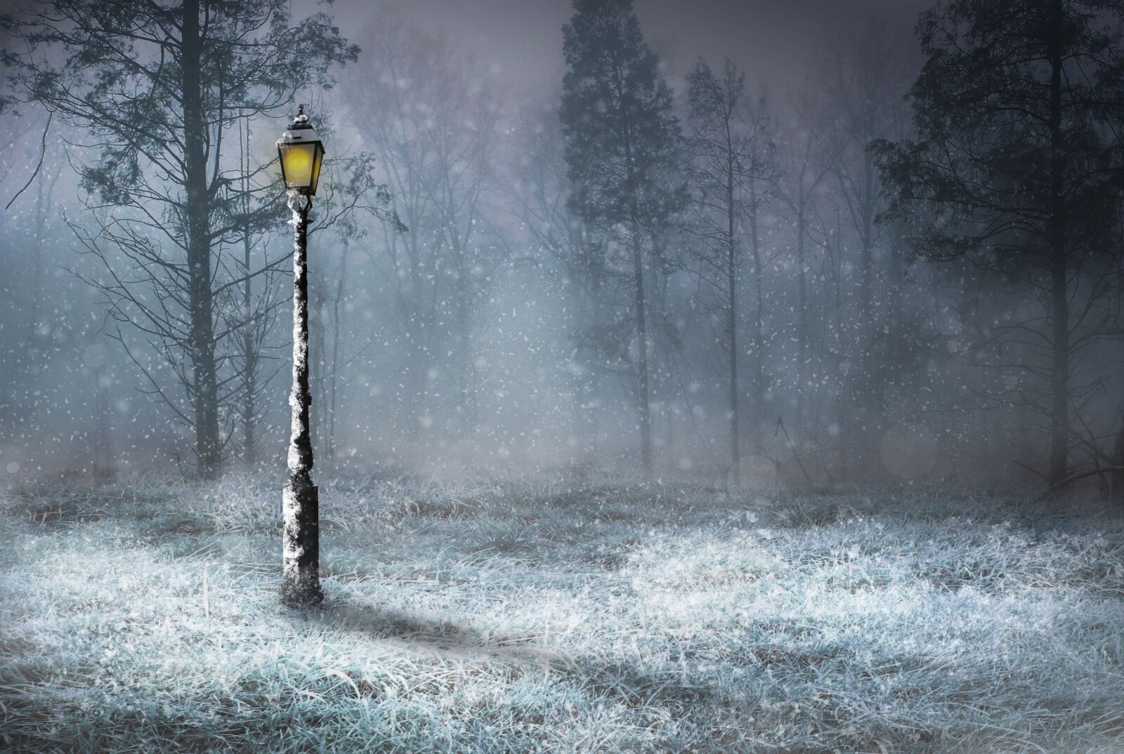 Nikon D80 sample photo. Snow, outdoors, nature photography