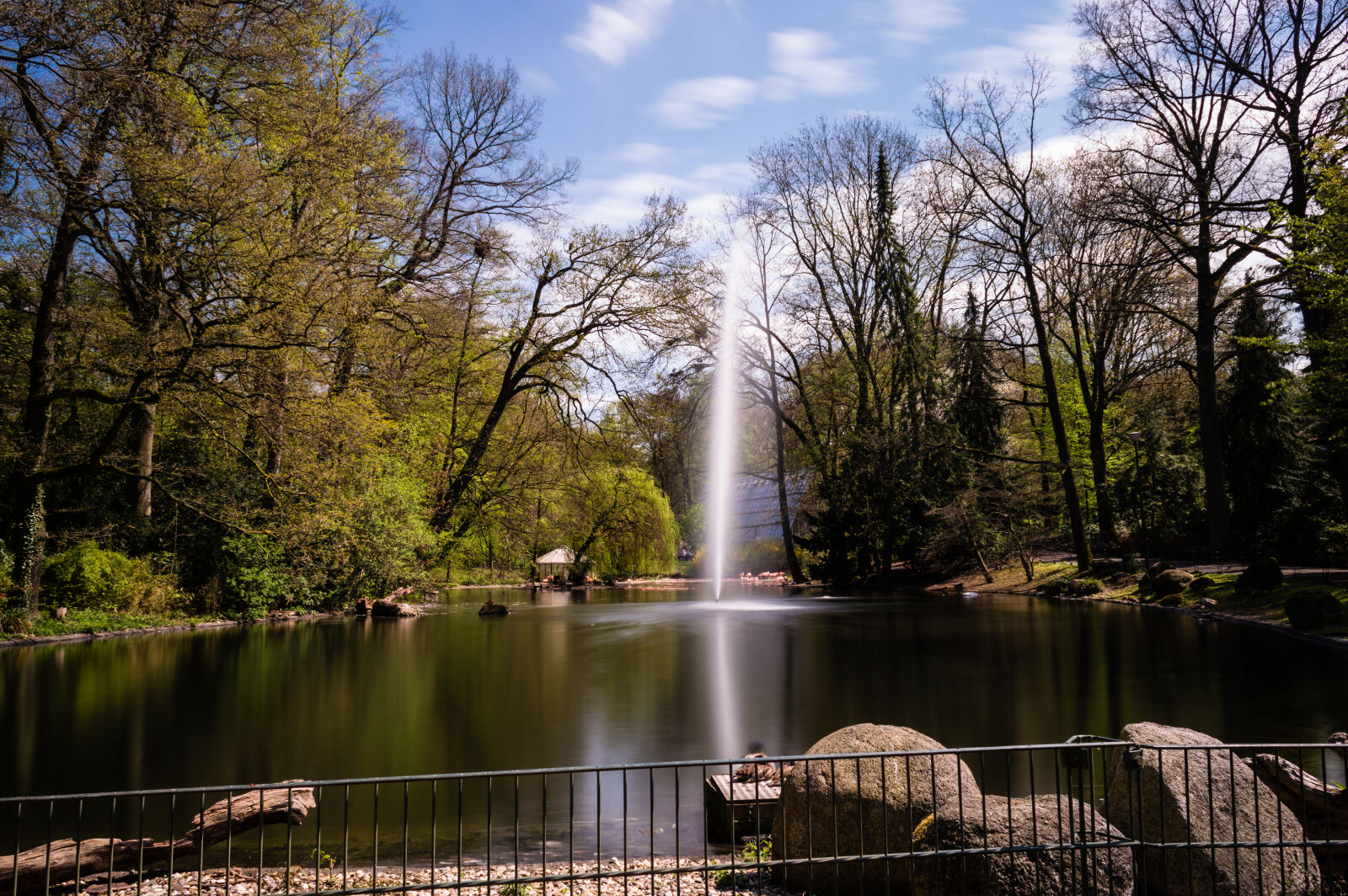Nikon D3200 sample photo. Bare, trees, near, river photography