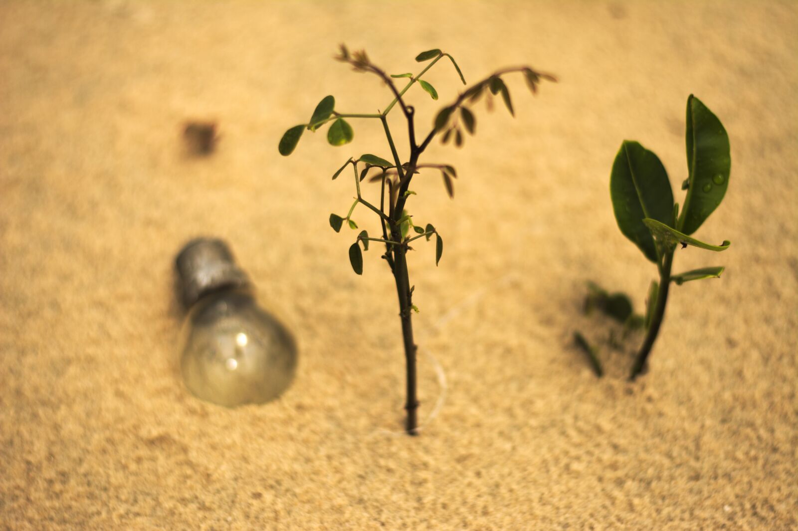 Nikon D5200 sample photo. Sand, beach, conceptual photography