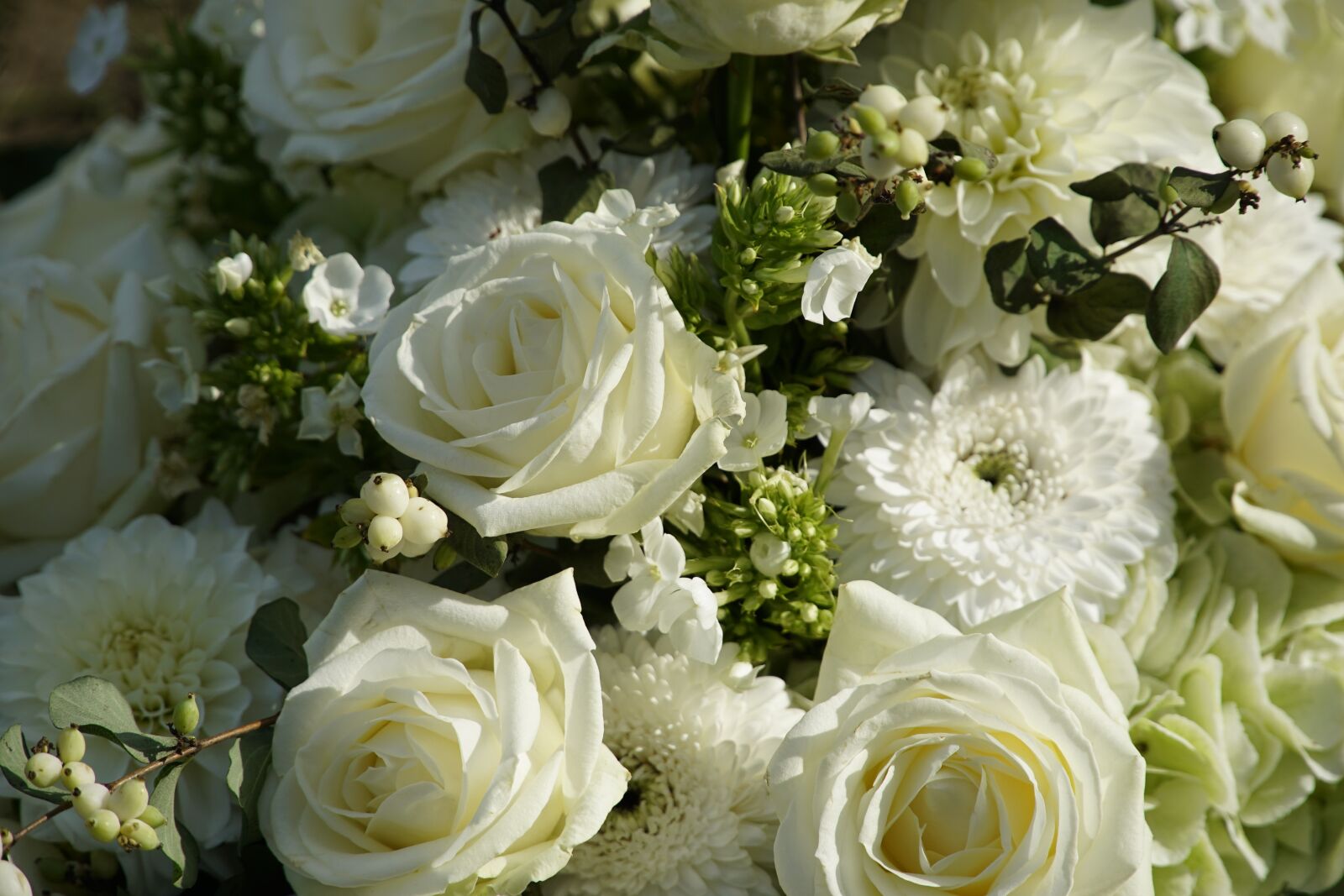 Sony E PZ 18-105mm F4 G OSS sample photo. Flowers, white roses, bouquet photography