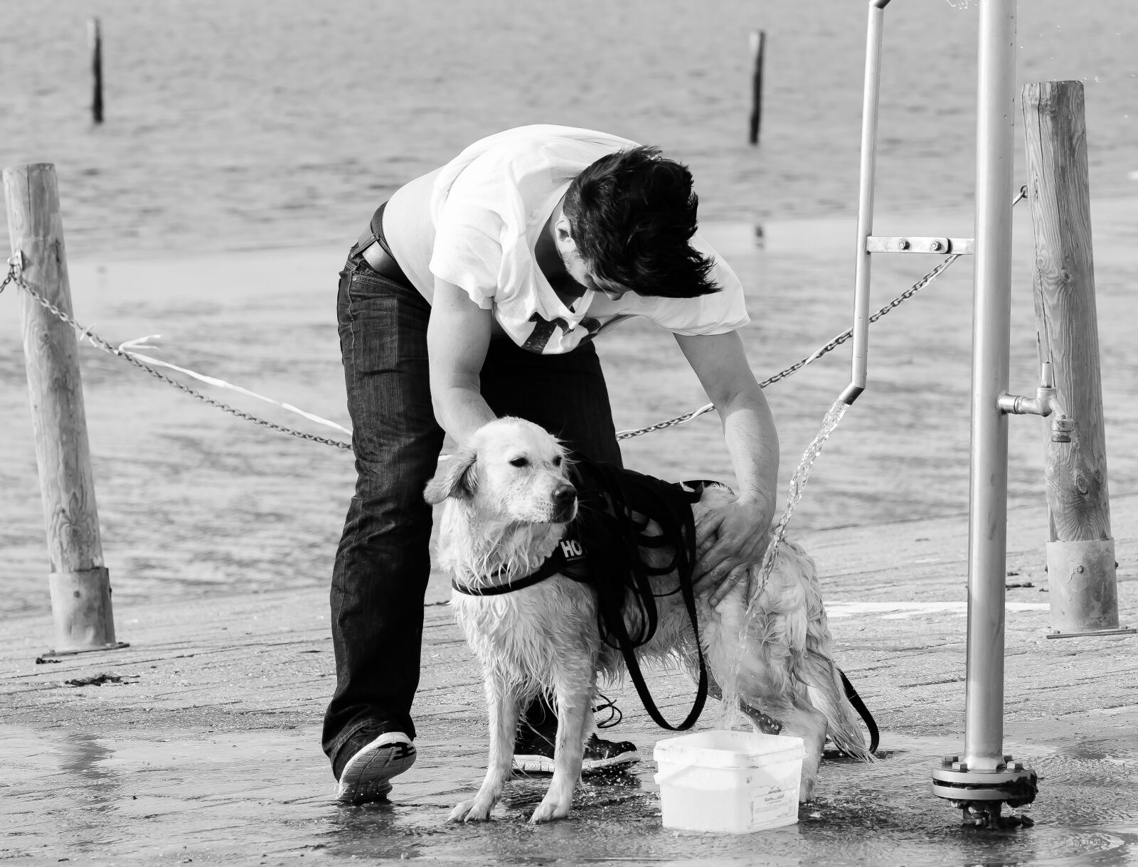 Nikon D5100 sample photo. Human, dog, golden retriever photography