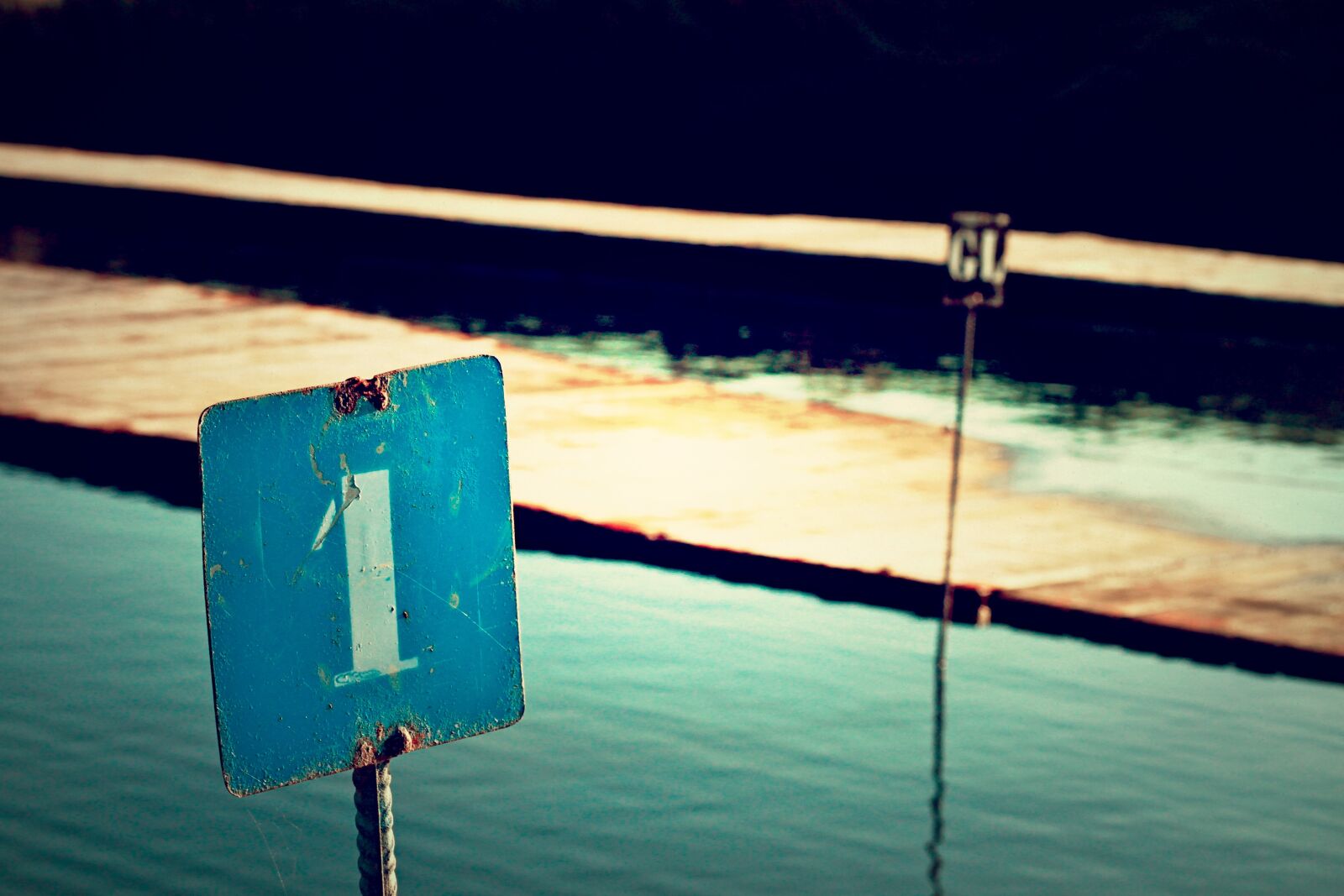 Canon EOS 500D (EOS Rebel T1i / EOS Kiss X3) sample photo. Macro, nature, pole photography