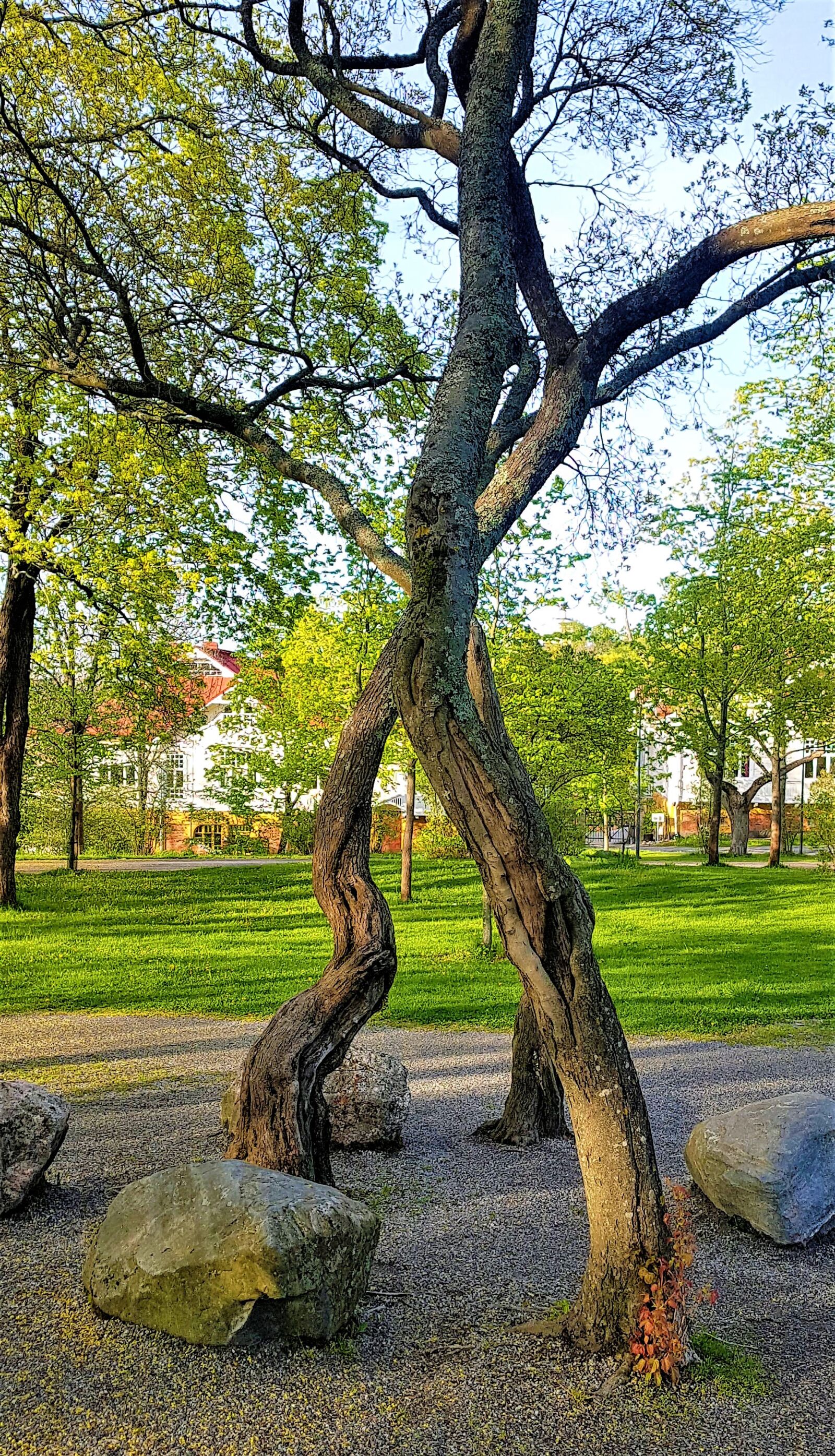 Samsung Galaxy S7 Edge sample photo. Park, spring, turku photography