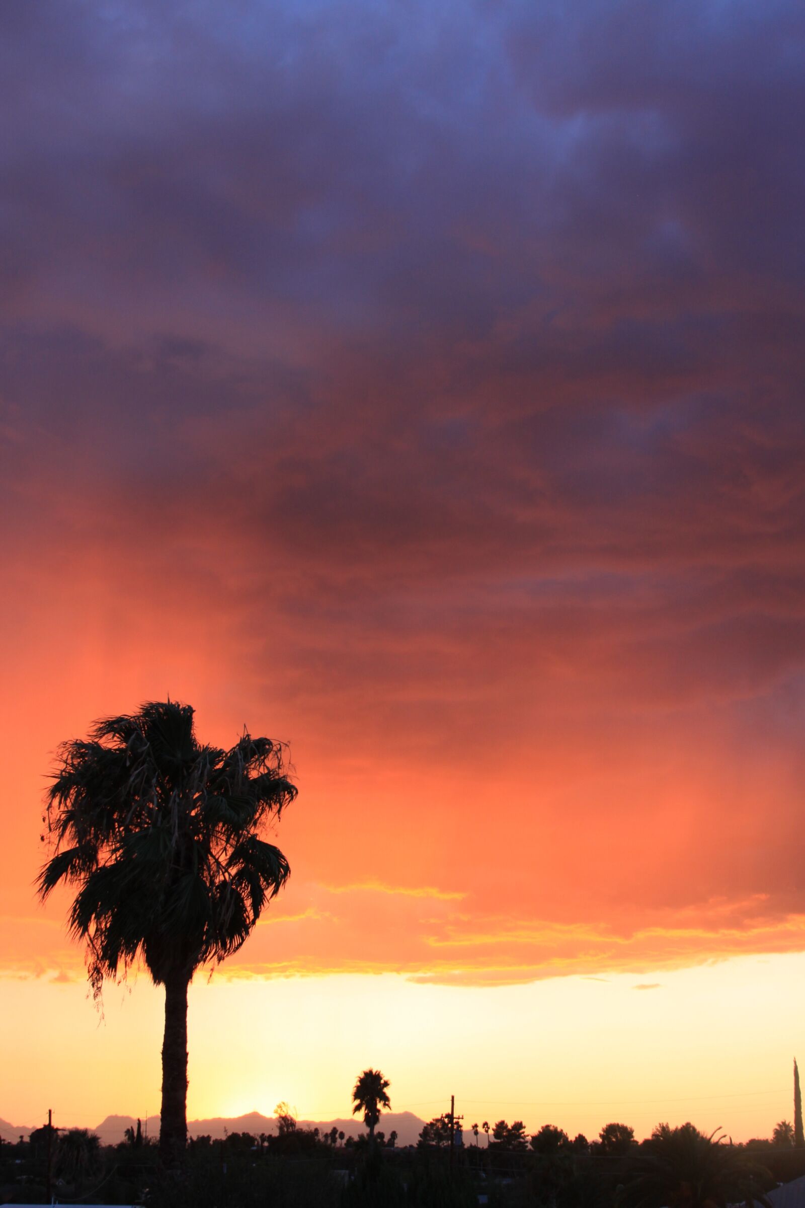 Canon EOS 50D sample photo. Sunset, dusk, nature photography