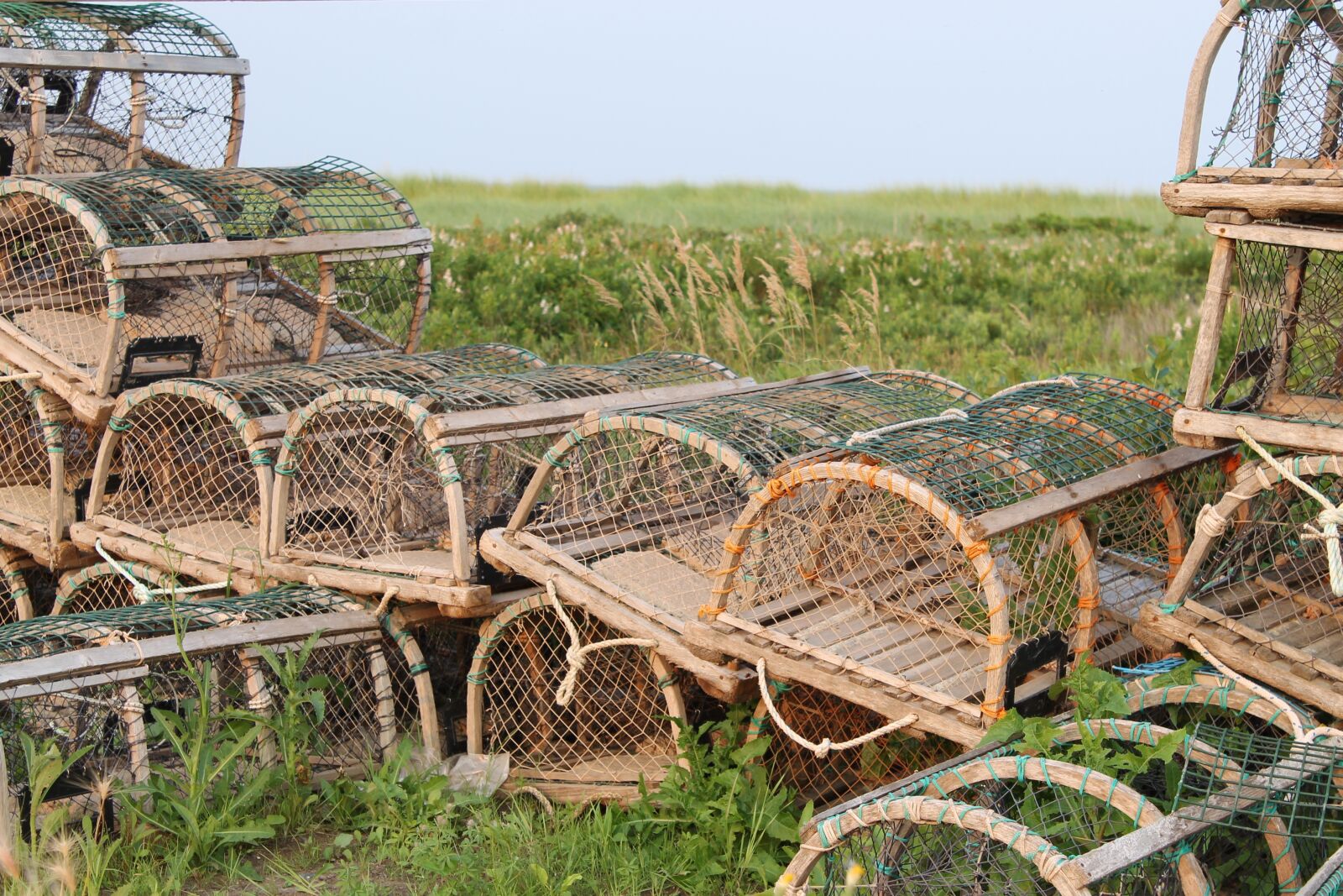Canon EOS 1100D (EOS Rebel T3 / EOS Kiss X50) sample photo. New brunswick, cage, lobster photography