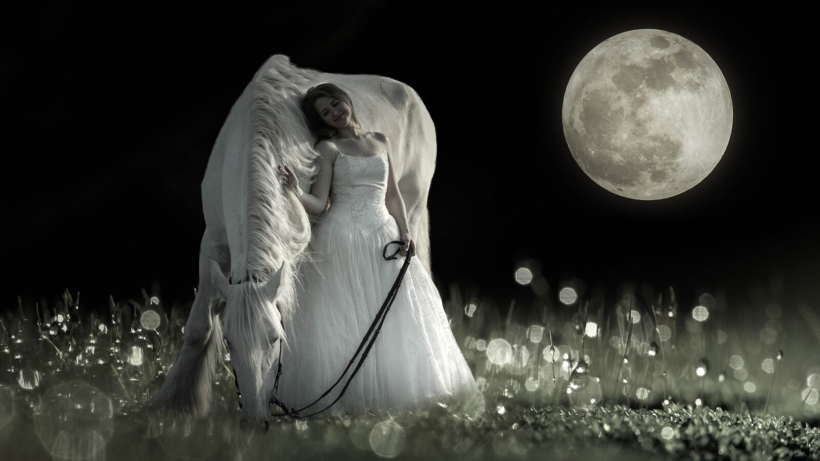 Canon EOS 1300D (EOS Rebel T6 / EOS Kiss X80) sample photo. Horse, girl, full moon photography