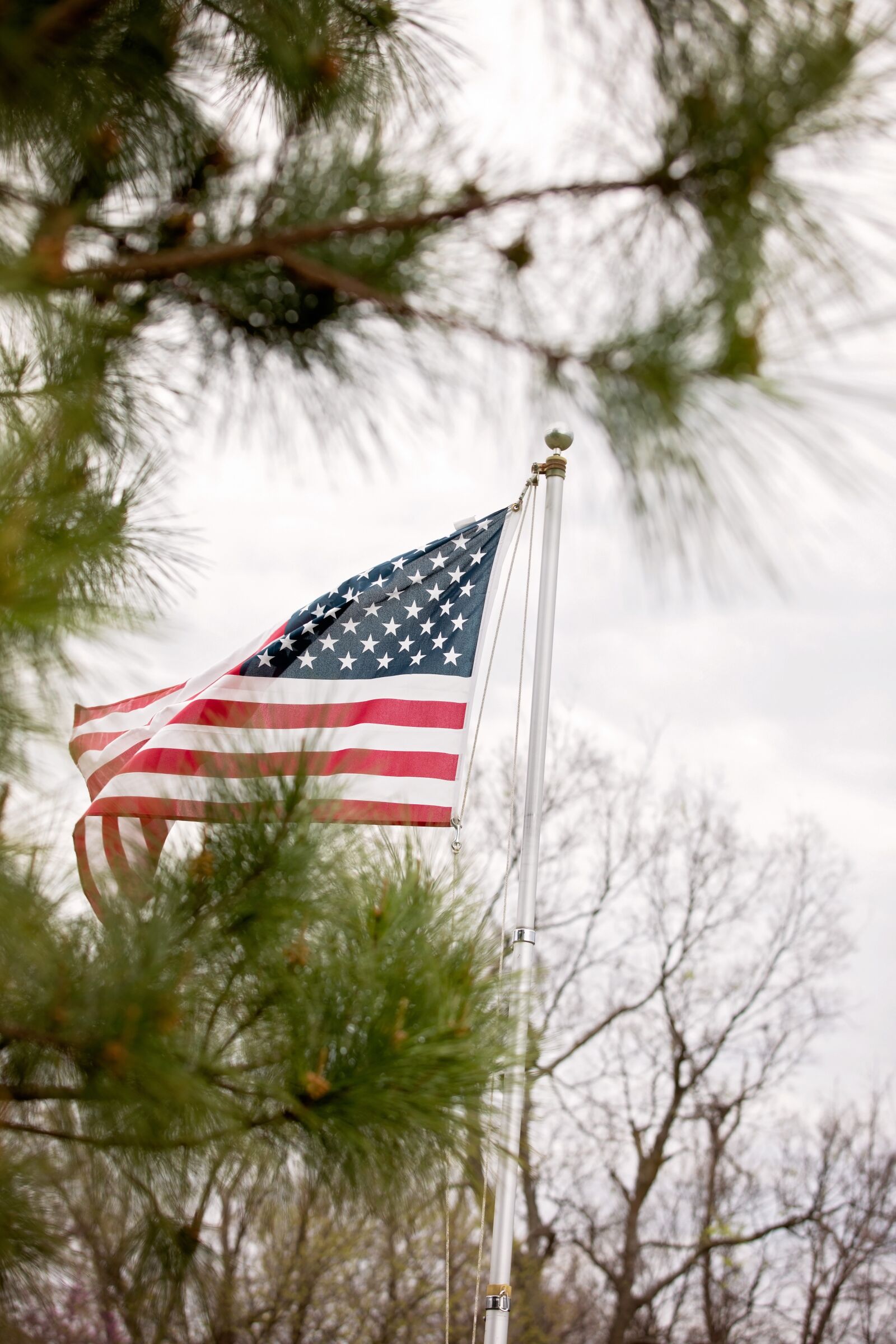 Canon EOS 5D Mark IV + Canon EF 70-200mm F2.8L USM sample photo. American, flag, trees photography