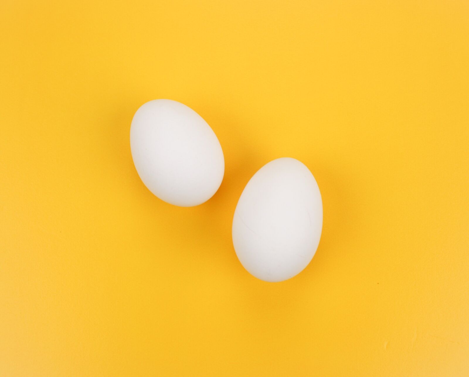 Canon EOS 500D (EOS Rebel T1i / EOS Kiss X3) sample photo. Egg, yellow, a surname photography