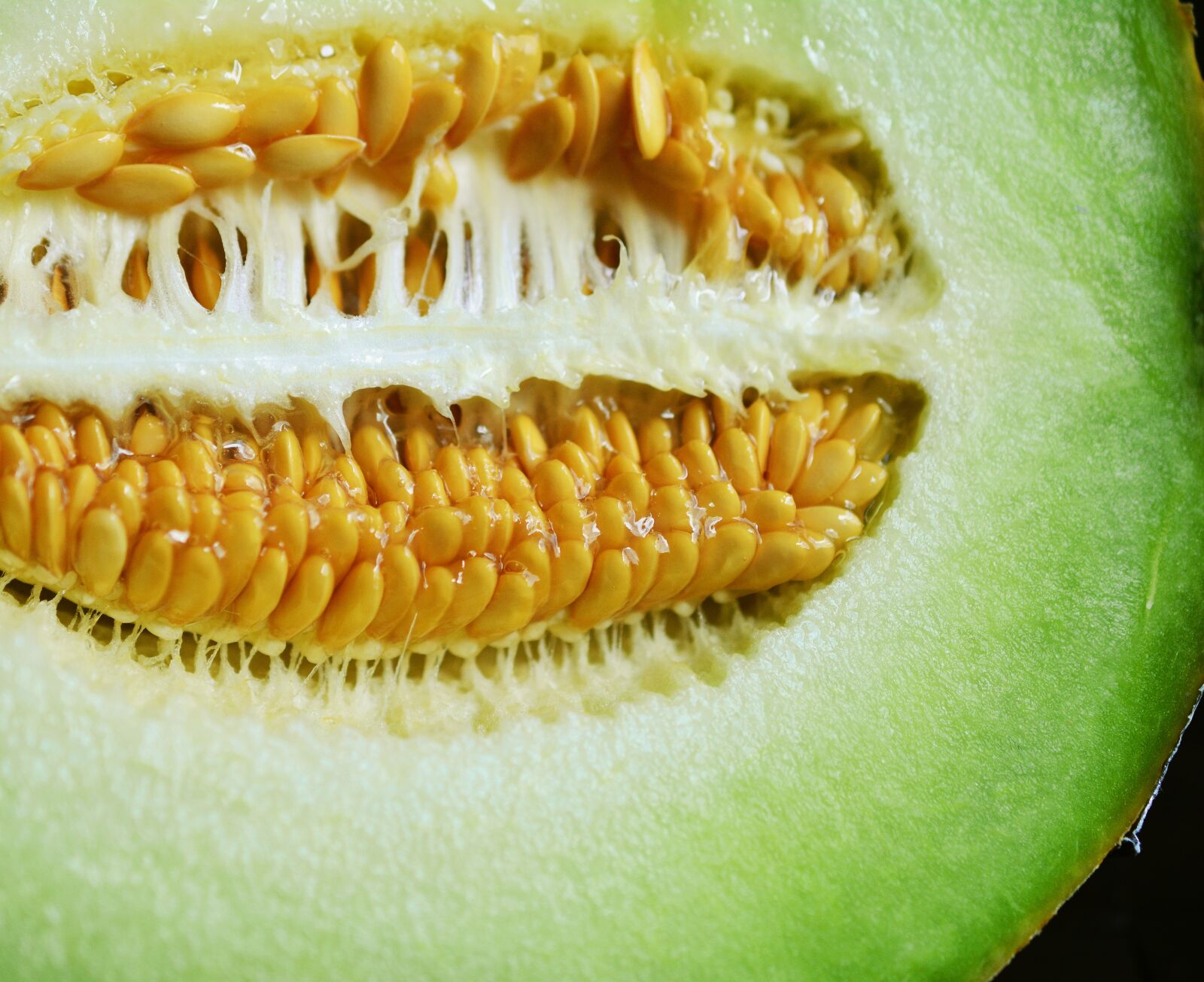 Nikon D5200 sample photo. Core, melon, cantaloupe photography