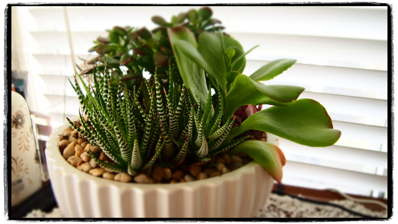 Olympus PEN E-PM2 sample photo. Plants photography