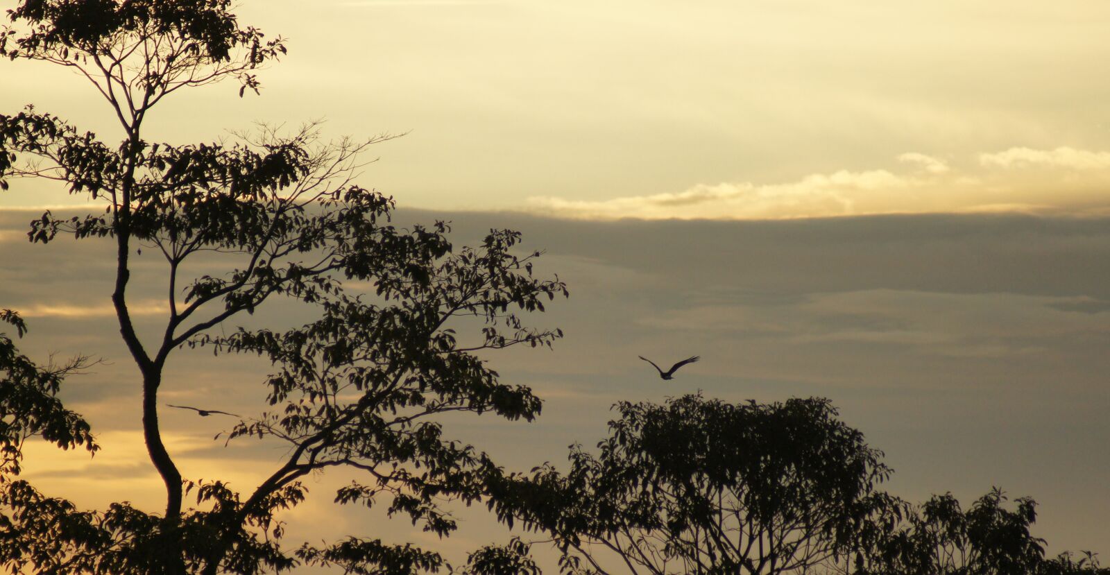 Sony SLT-A55 (SLT-A55V) sample photo. Landscape, sunset, the field photography