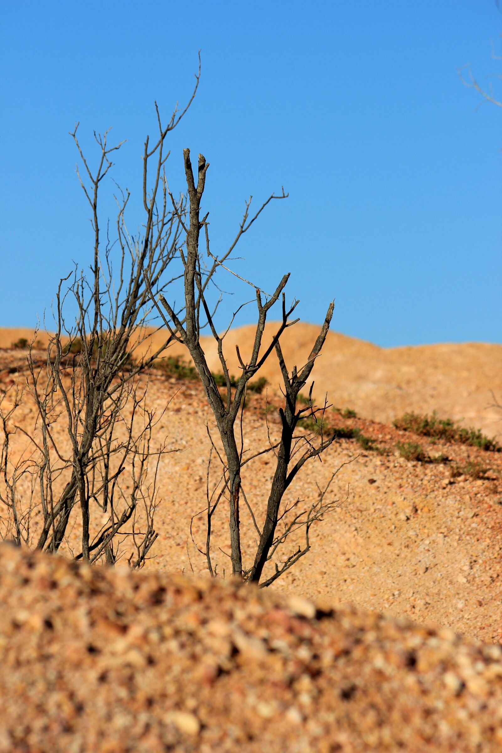 Canon EOS 550D (EOS Rebel T2i / EOS Kiss X4) sample photo. Australia, outback, landscape photography