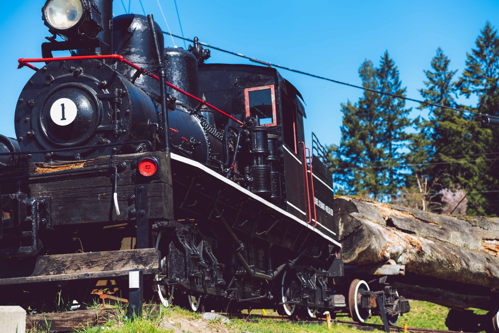 Nikon D750 sample photo. Black, locomotive, logging photography