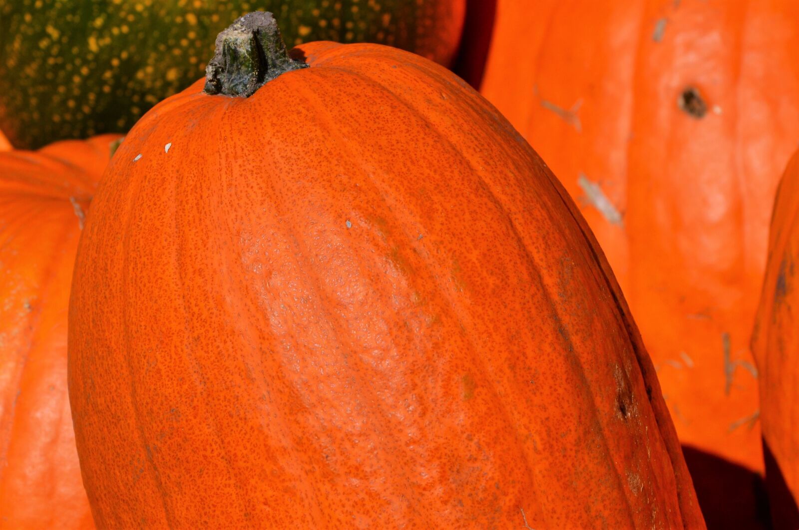 Nikon D3200 sample photo. Pumpkin, fruit, orange photography