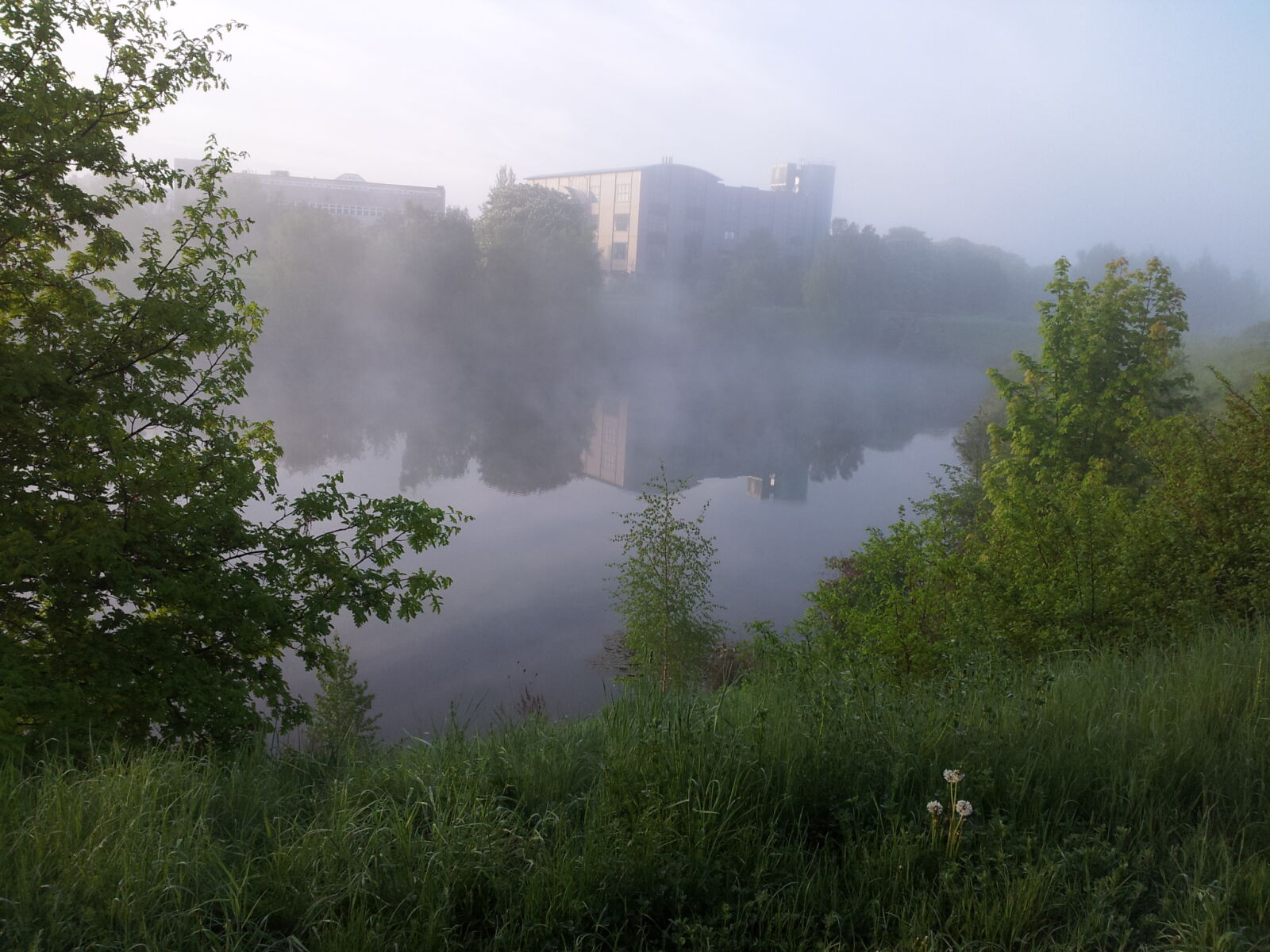 Samsung Galaxy S2 sample photo. Fog, lake, morning, sun photography