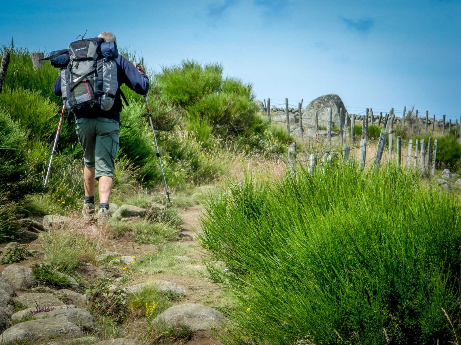 Nikon Coolpix L120 sample photo. Hiker, aubrac, path photography