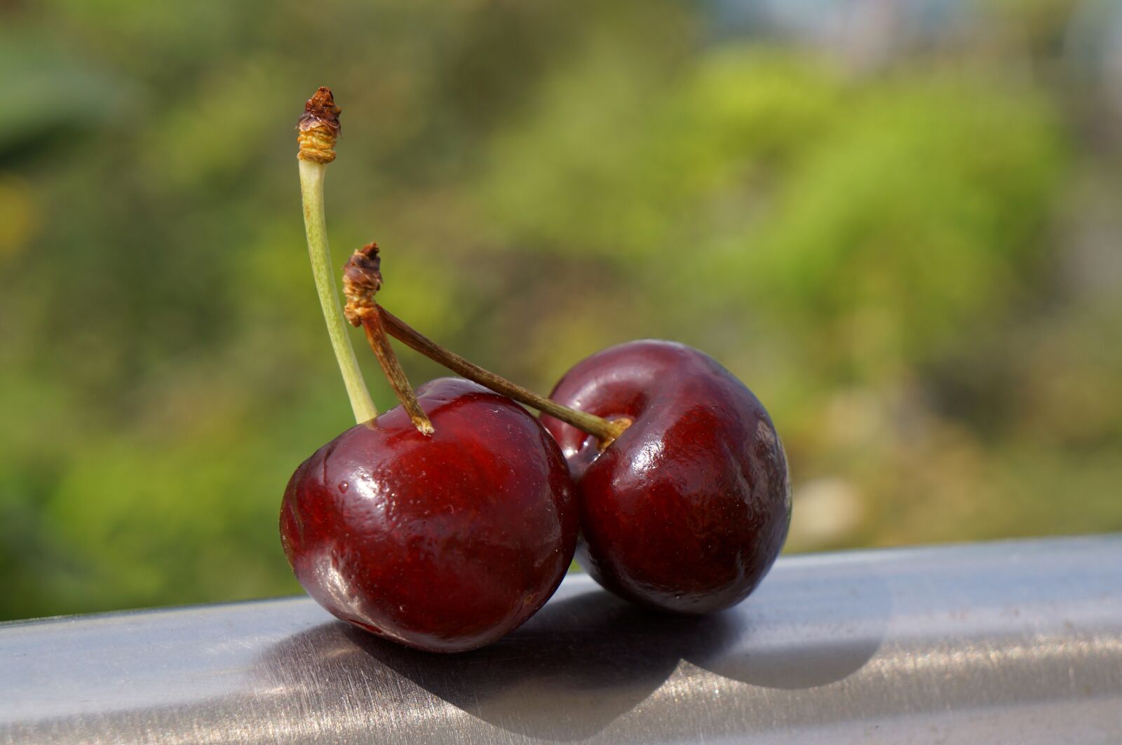 Sony Alpha NEX-F3 + Sony E 18-55mm F3.5-5.6 OSS sample photo. Food, the cherry australia photography