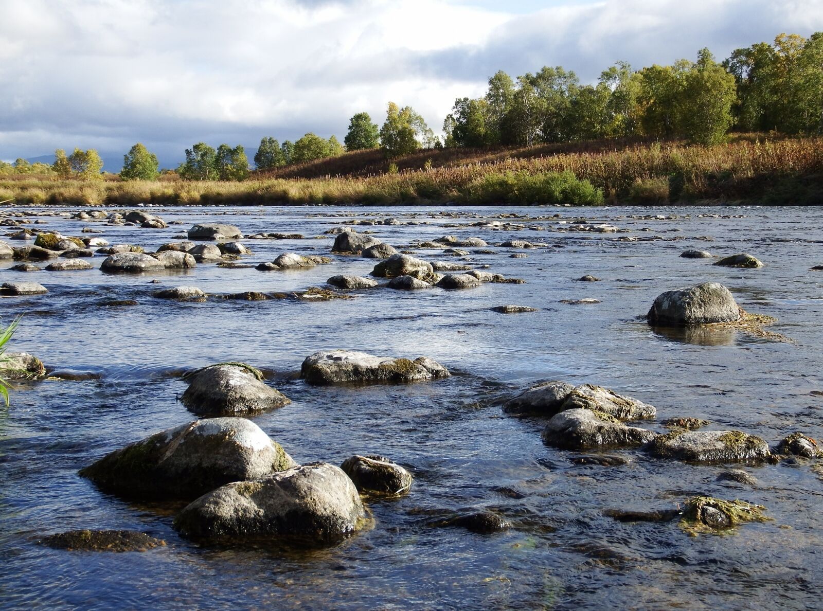 Fujifilm FinePix S1 sample photo. River, back on track photography