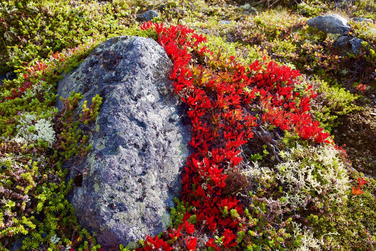 Canon EF 24-105mm F4L IS USM sample photo. Mountain, hiking, norway photography