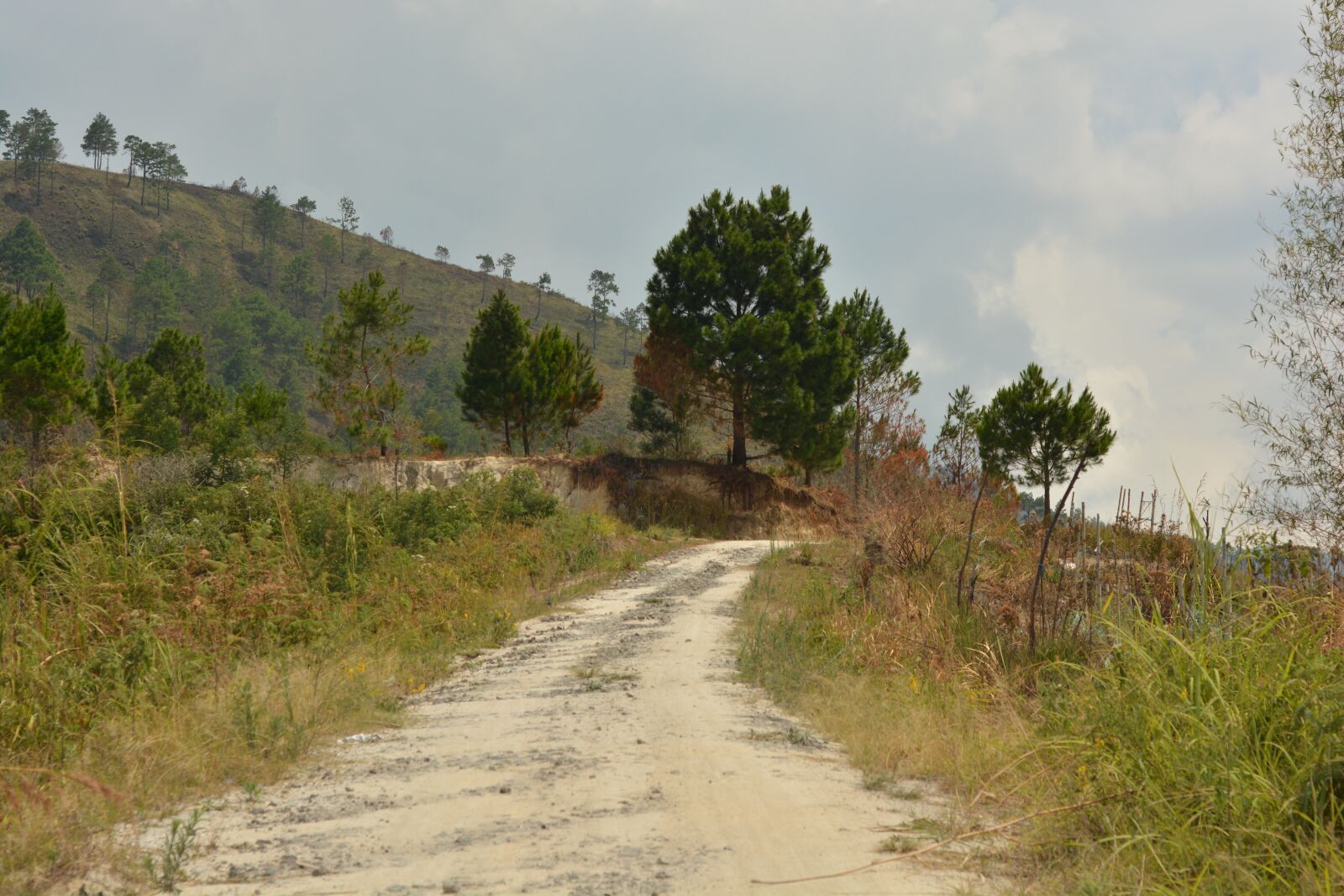 Nikon D7100 sample photo. Footpath, road, village photography