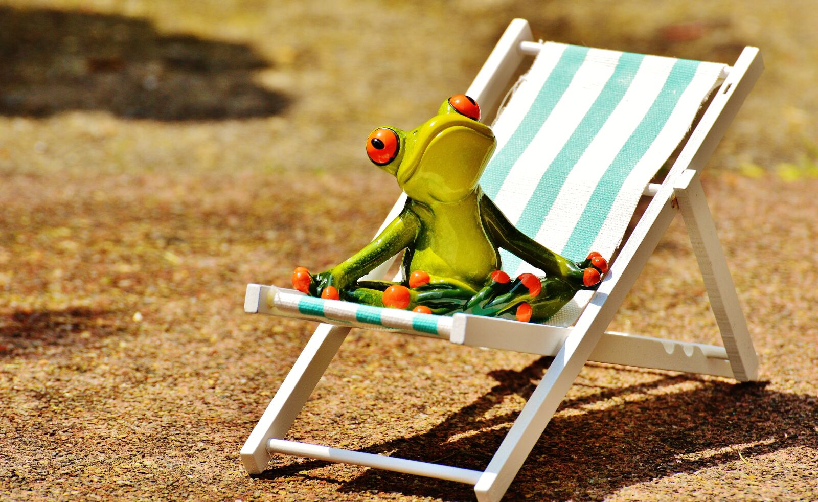 Nikon D3200 sample photo. Sun loungers, beach, frog photography