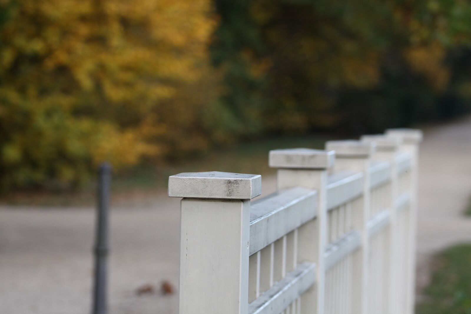 Canon EOS 50D sample photo. Dresden, nature, travel photography
