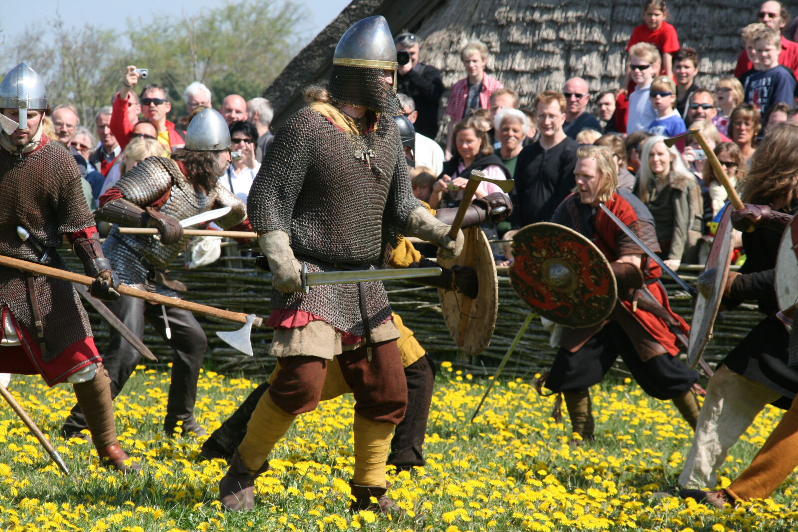 Sigma 18-200mm f/3.5-6.3 DC OS sample photo. Vikings photography