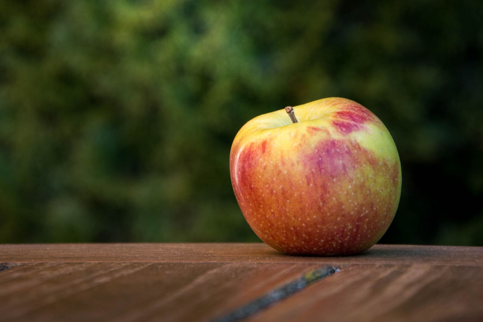 Nikon D7200 sample photo. Apple, fruit, fall photography